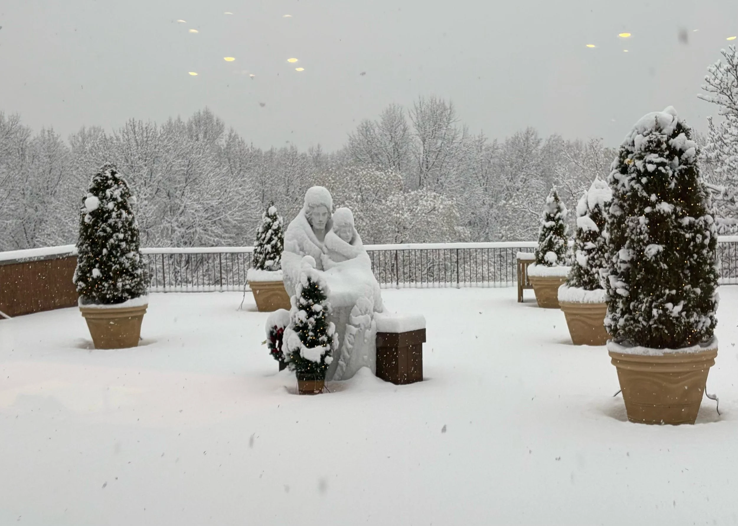 Snow Day 2025-4.jpeg