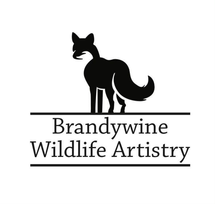 Brandywine Wildlife Artistry