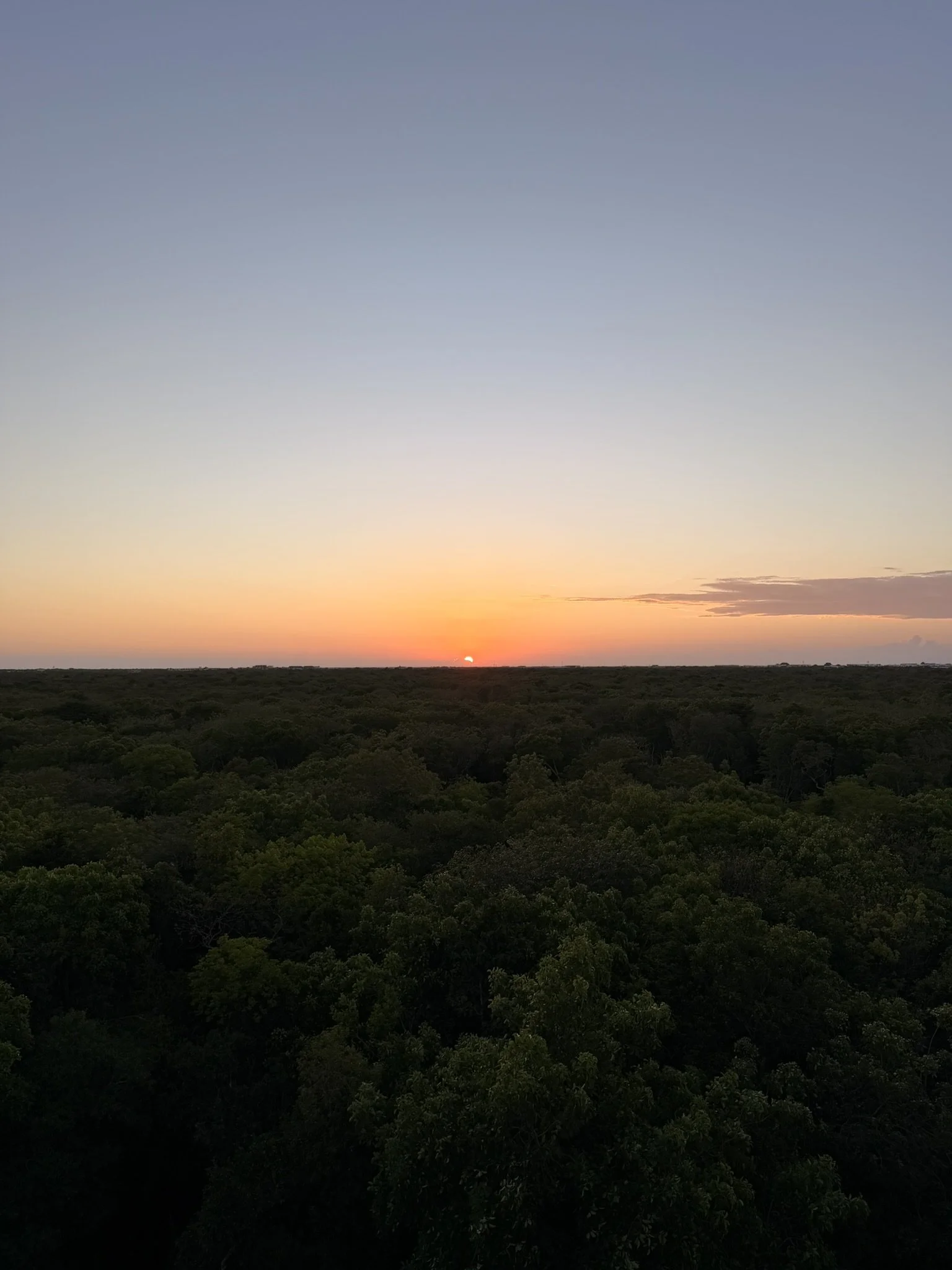 Rooftop sunset