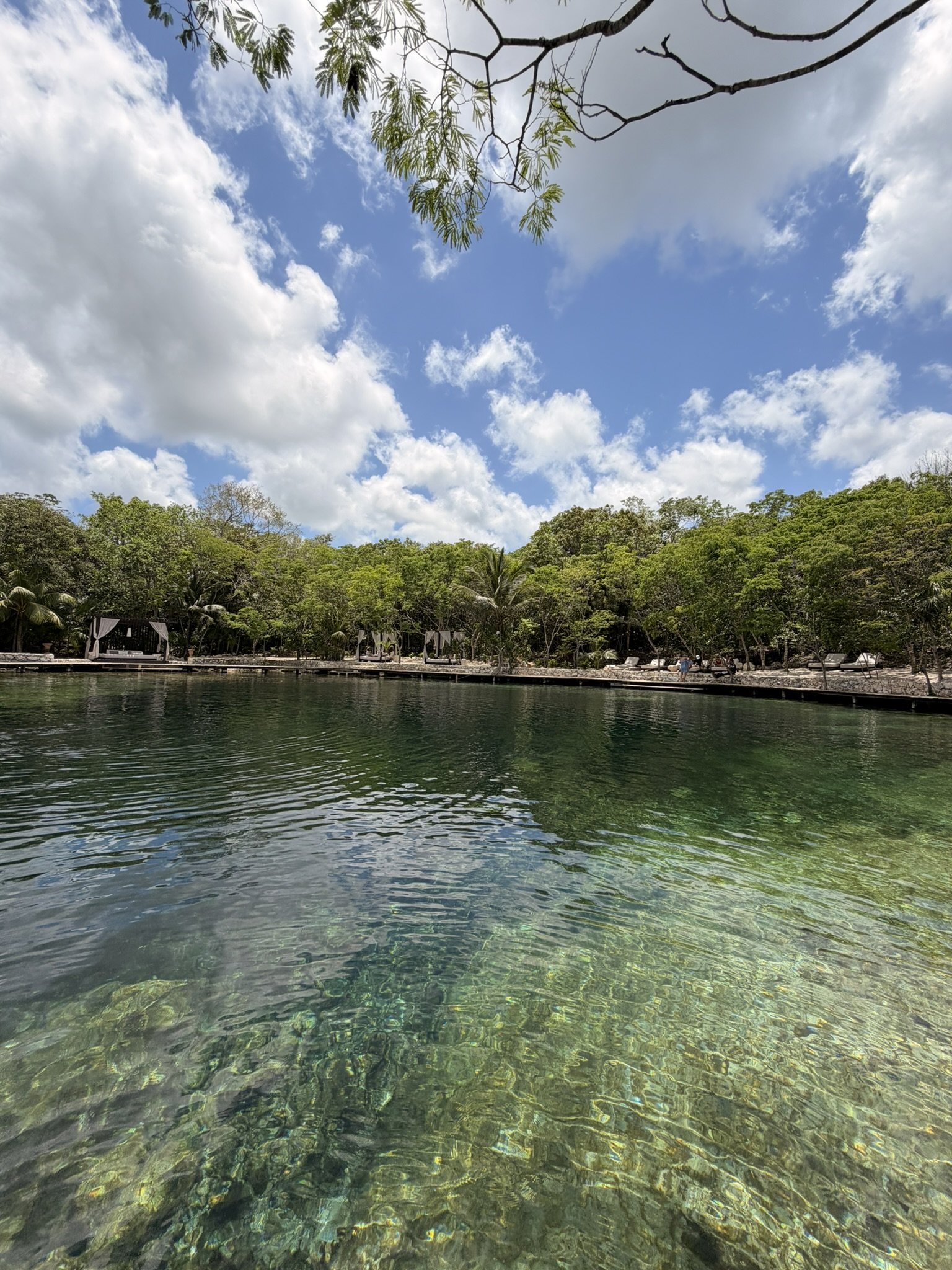 Vesica cenote