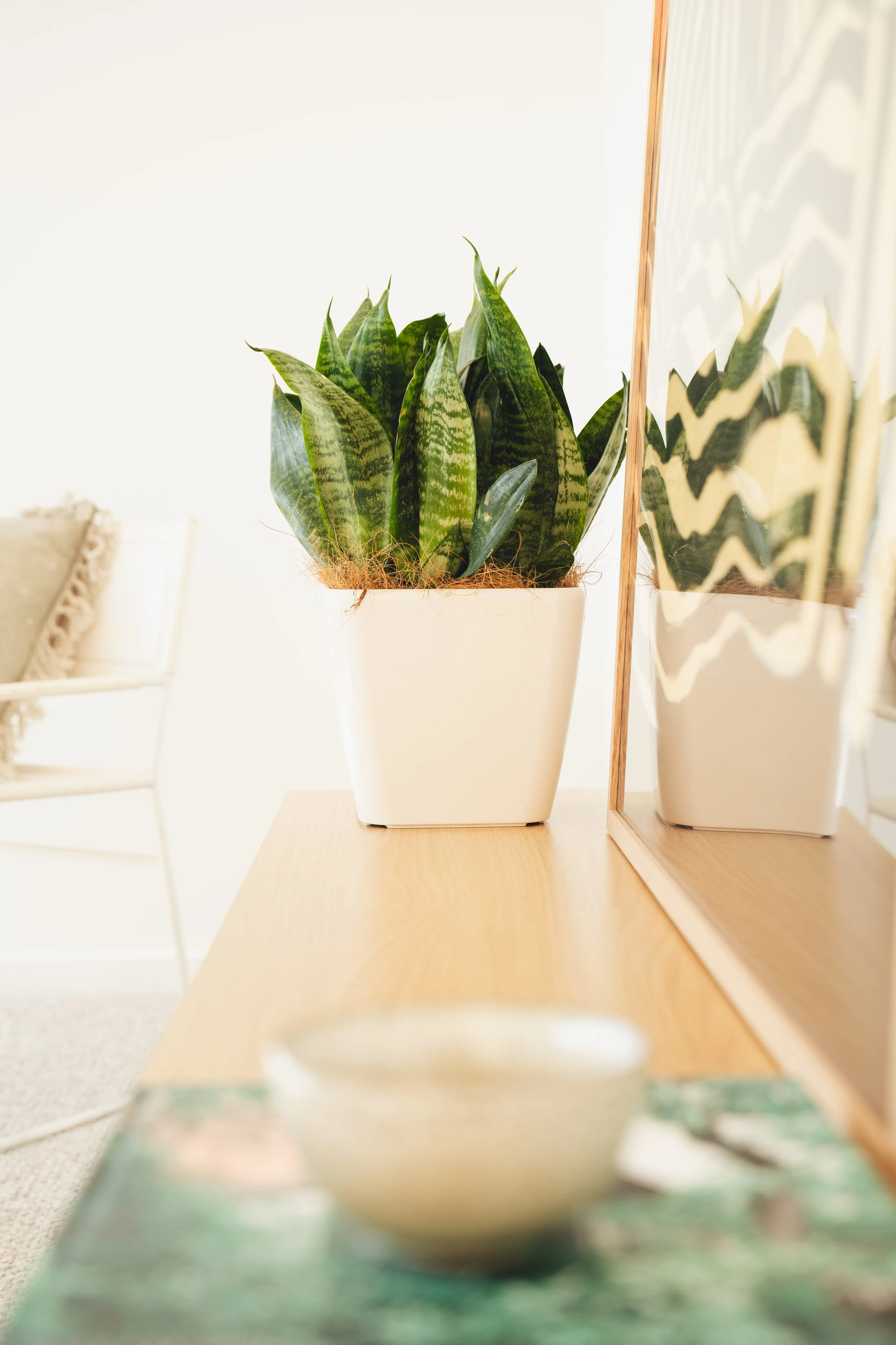 airbnb photographer canberra