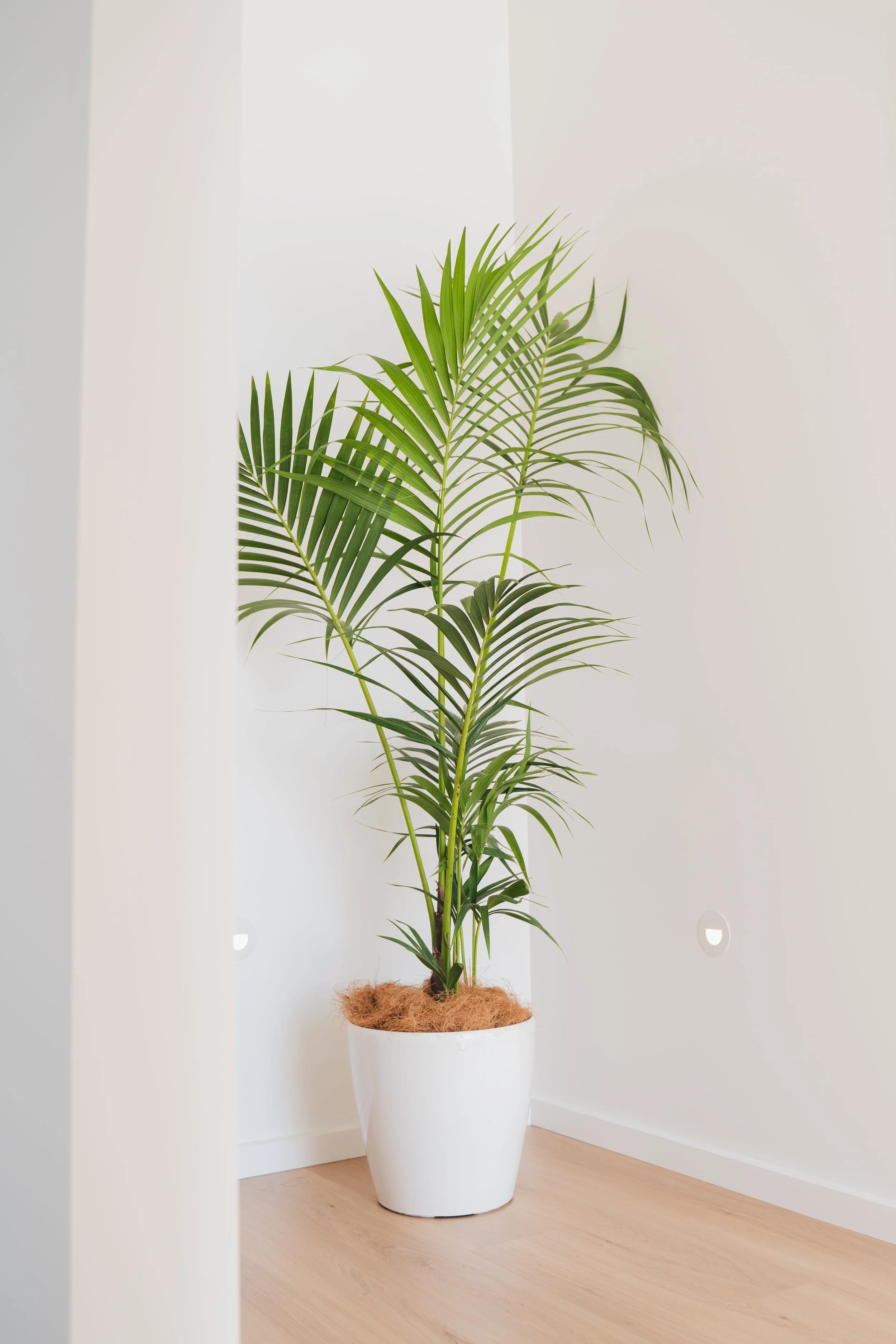 airbnb photographer canberra