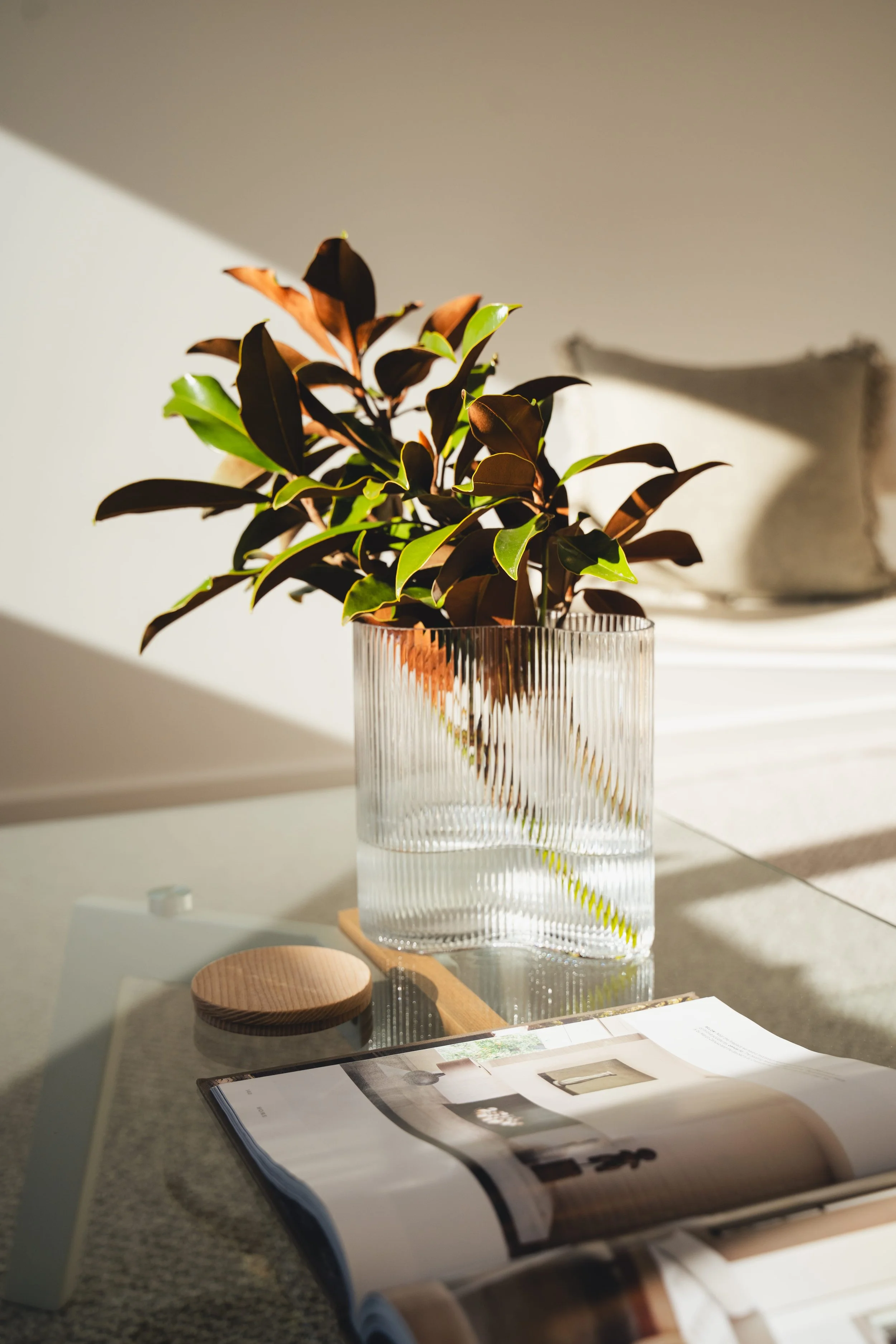 airbnb photographer canberra