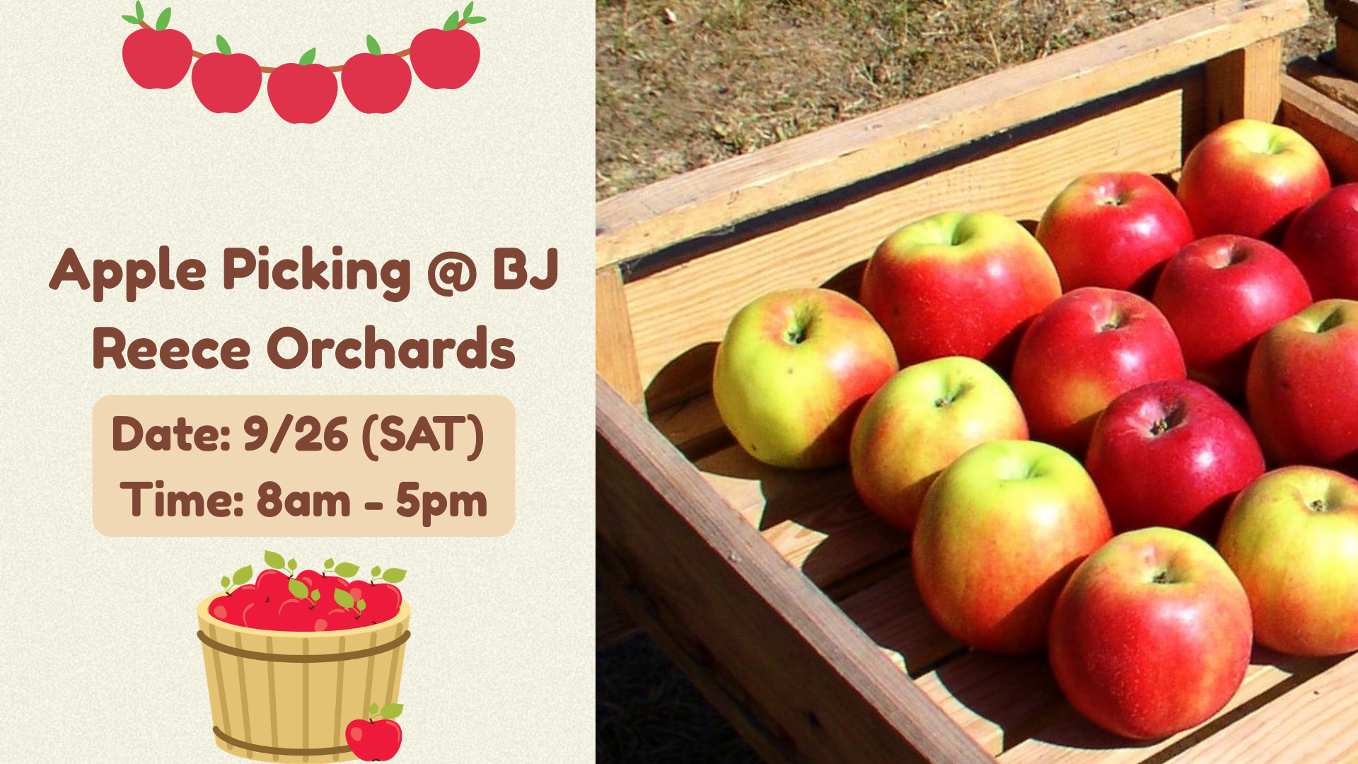 926 Apple Picking Announcement Slide (1).png