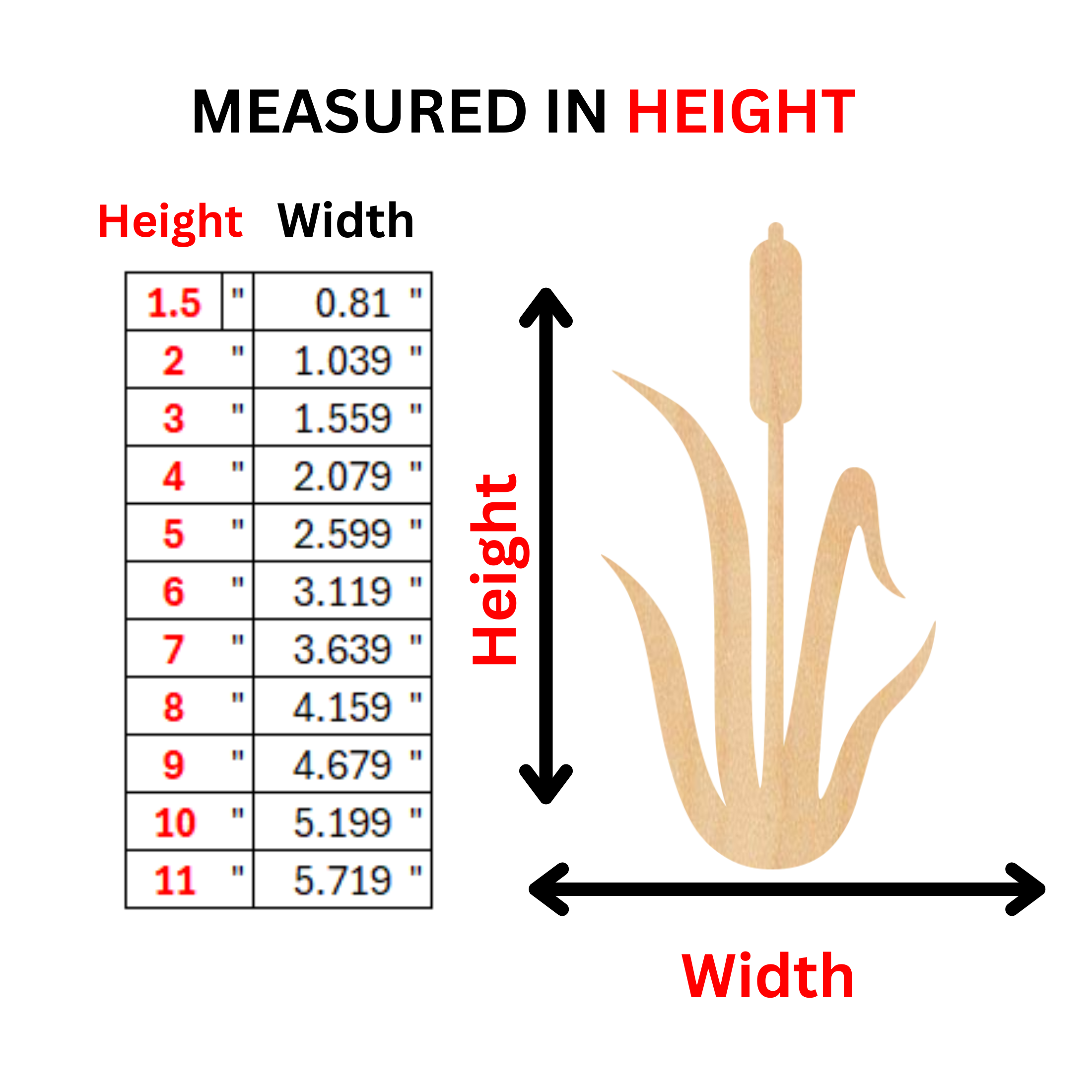 Height.png
