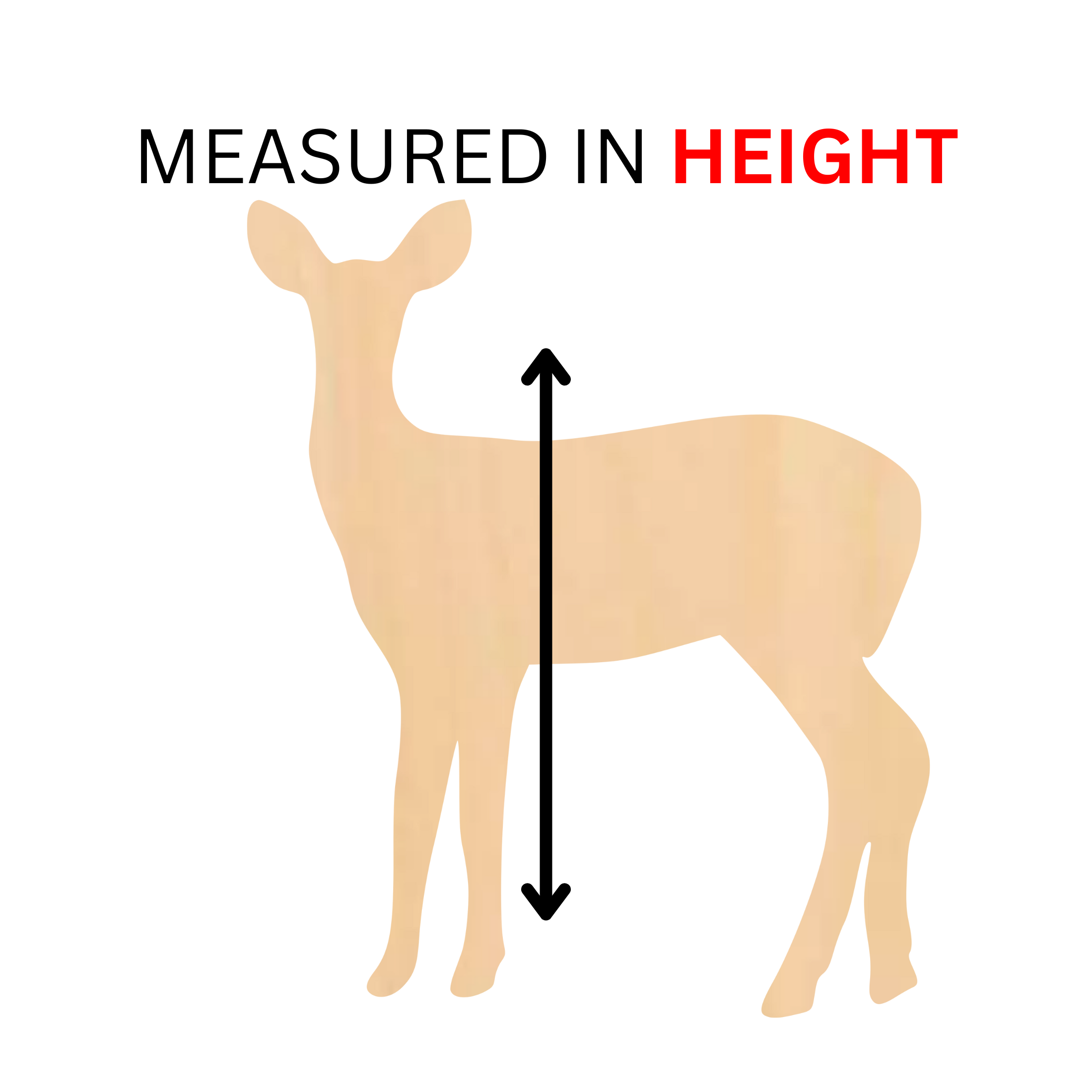 MEASURED IN HEIGHT.png
