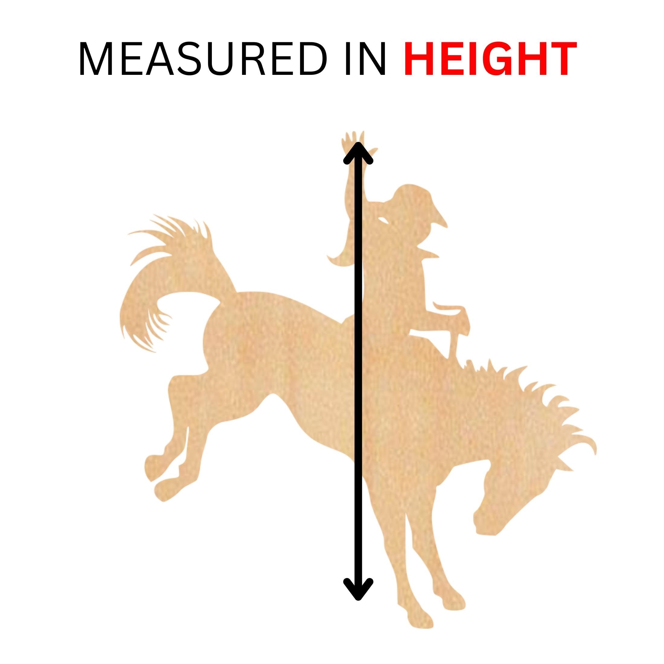 https://i.etsystatic.com/39140454/r/il/cfd249/6575030199/il_fullxfull.6575030199_6kg1.jpg