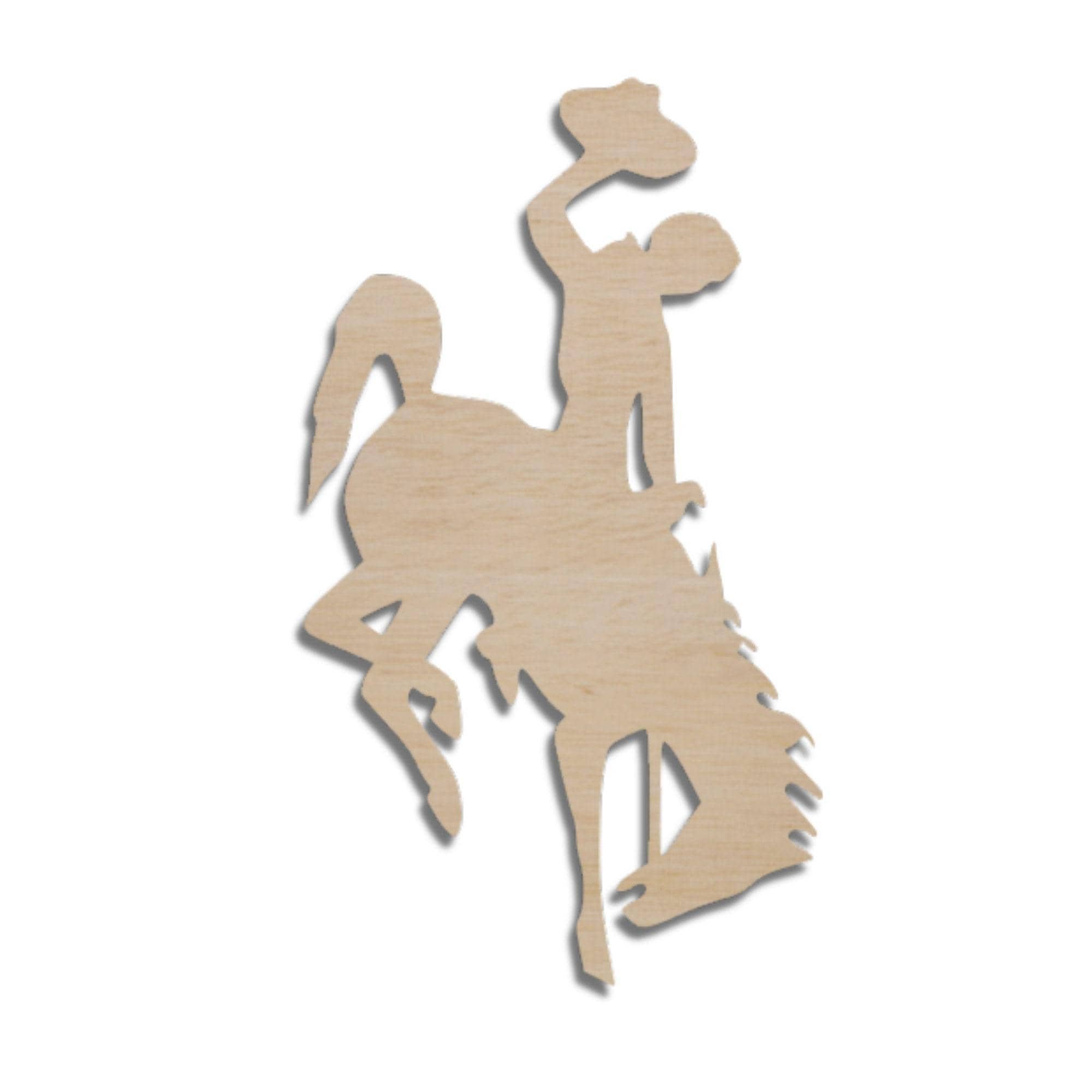 https://i.etsystatic.com/39140454/r/il/51a547/6447149573/il_fullxfull.6447149573_26co.jpg