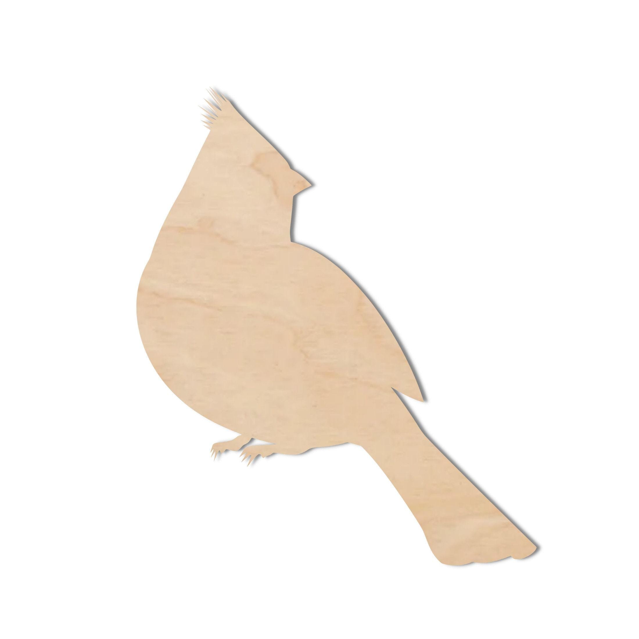 https://i.etsystatic.com/39140454/r/il/024b57/6447149087/il_fullxfull.6447149087_ir77.jpg