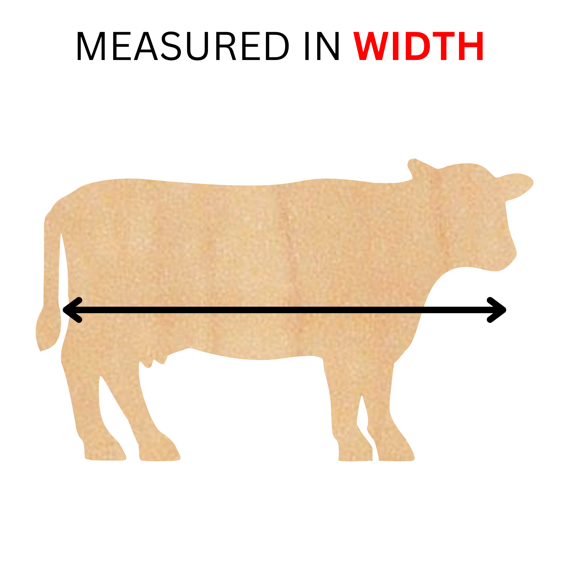 measured in width.png