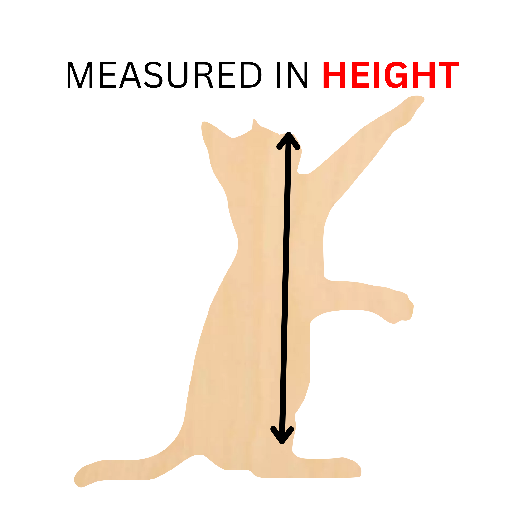 MEASURED IN HEIGHT.png