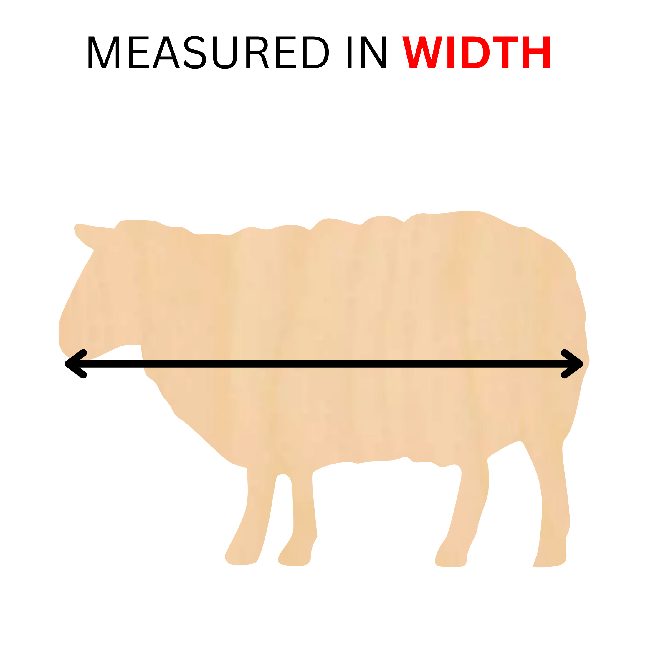 measured in width.png