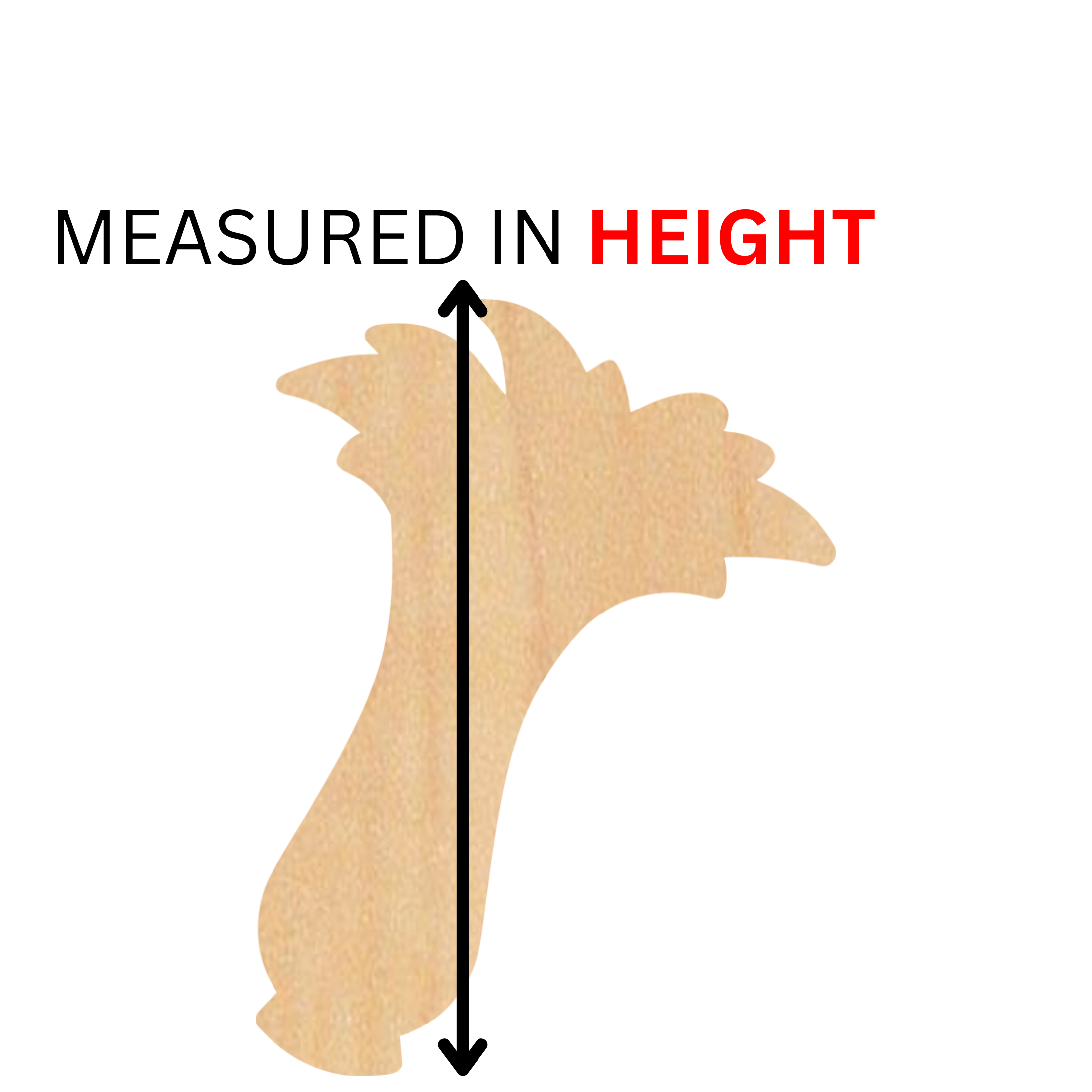 MEASURED IN HEIGHT.png