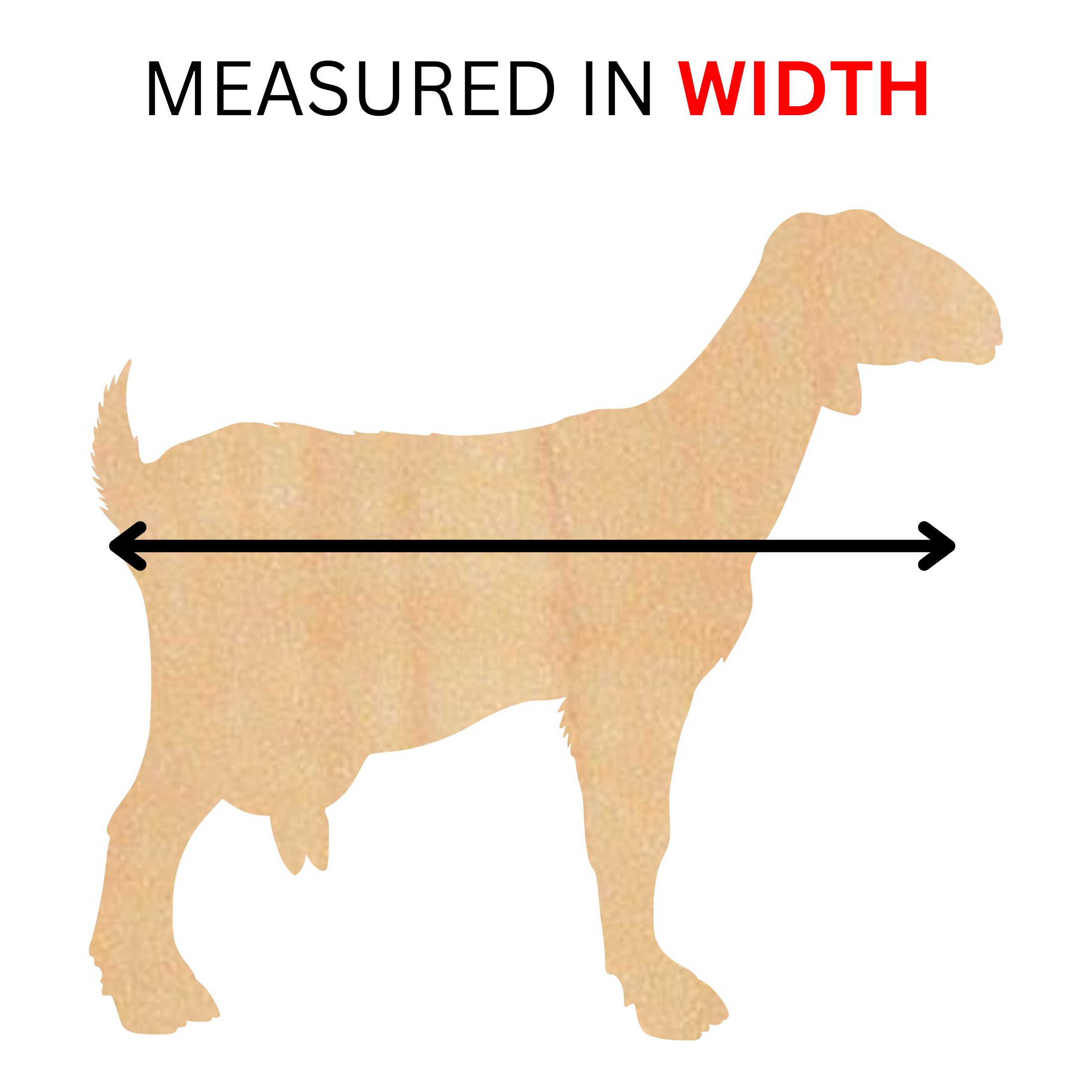 measured in width.png