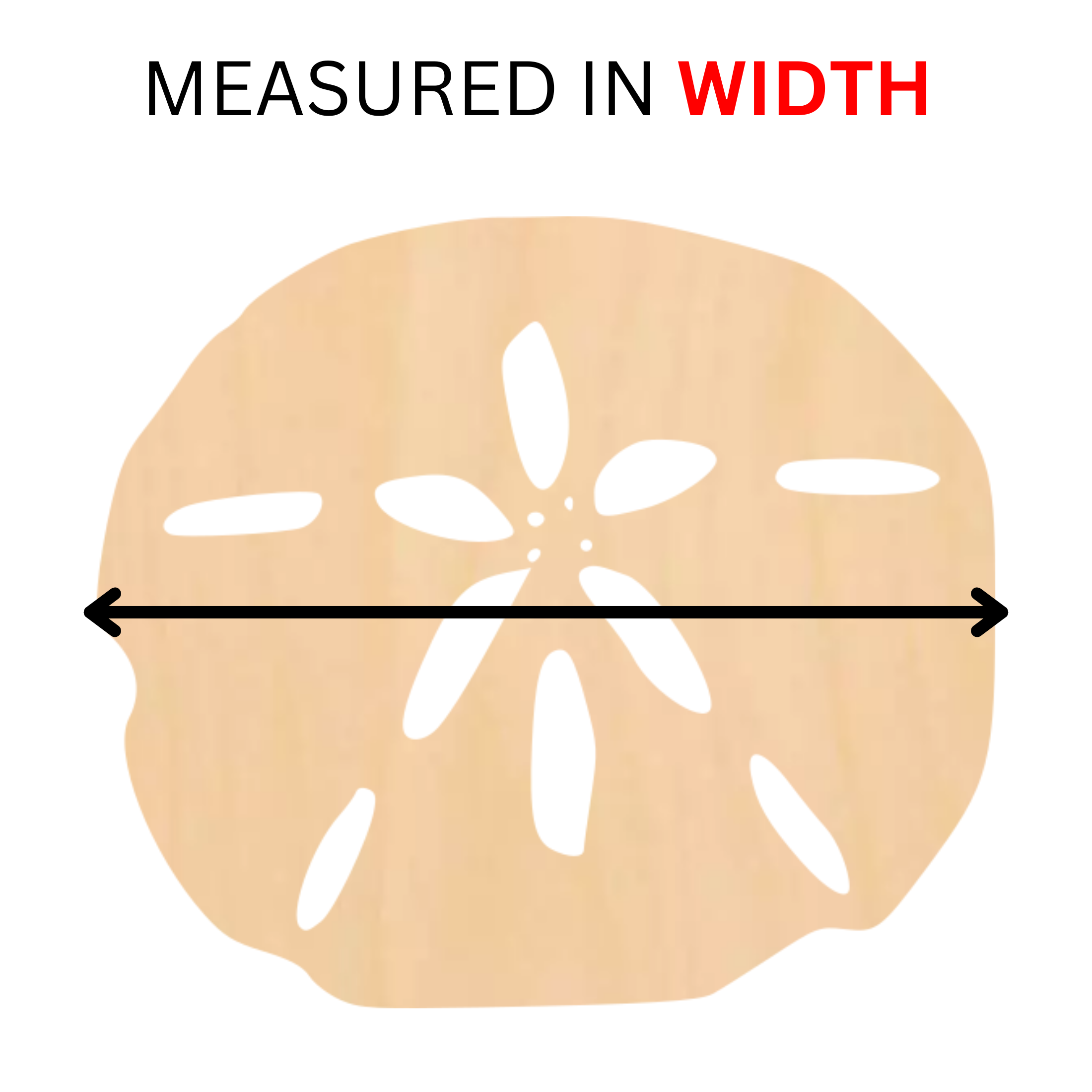 measured in width.png