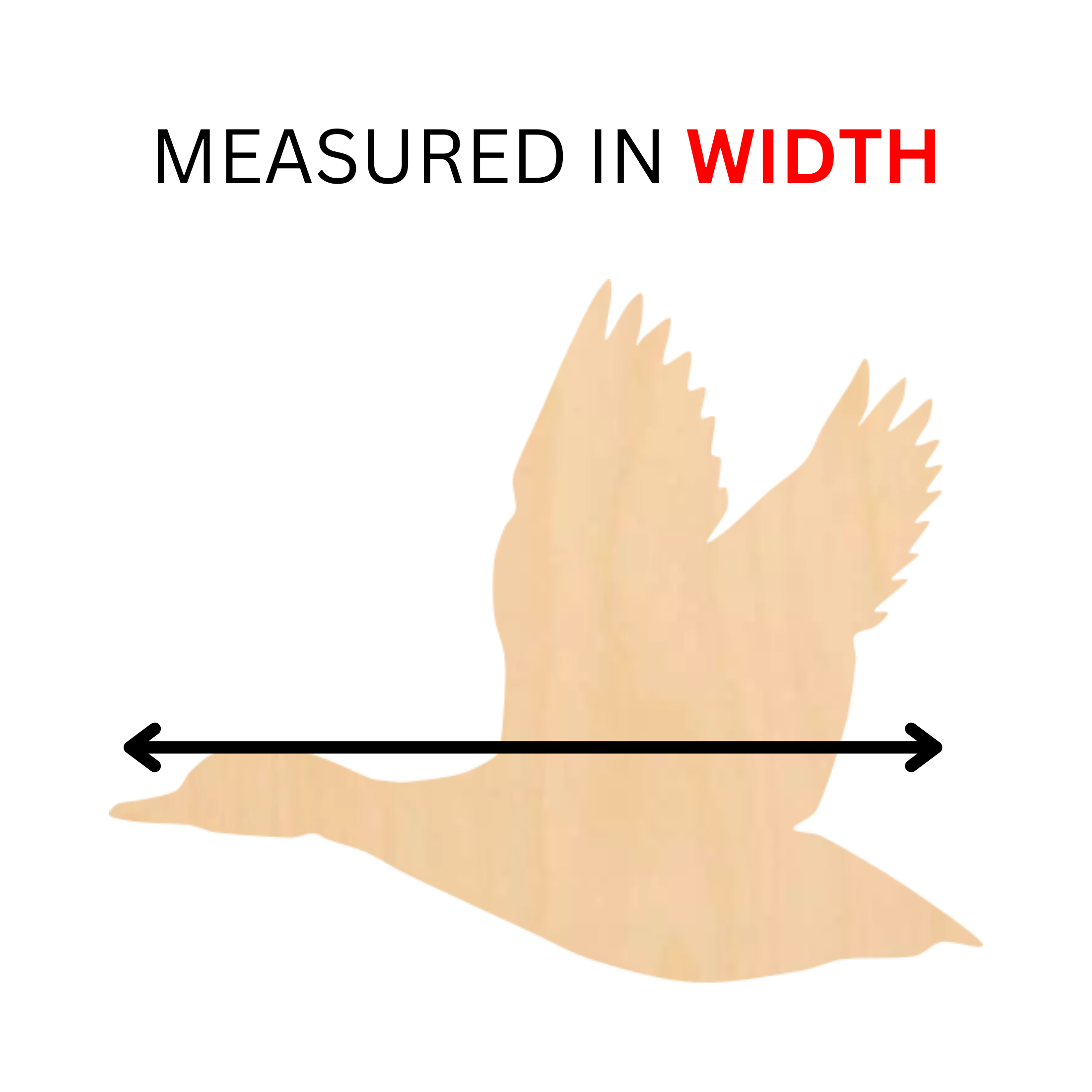 measured in width.png
