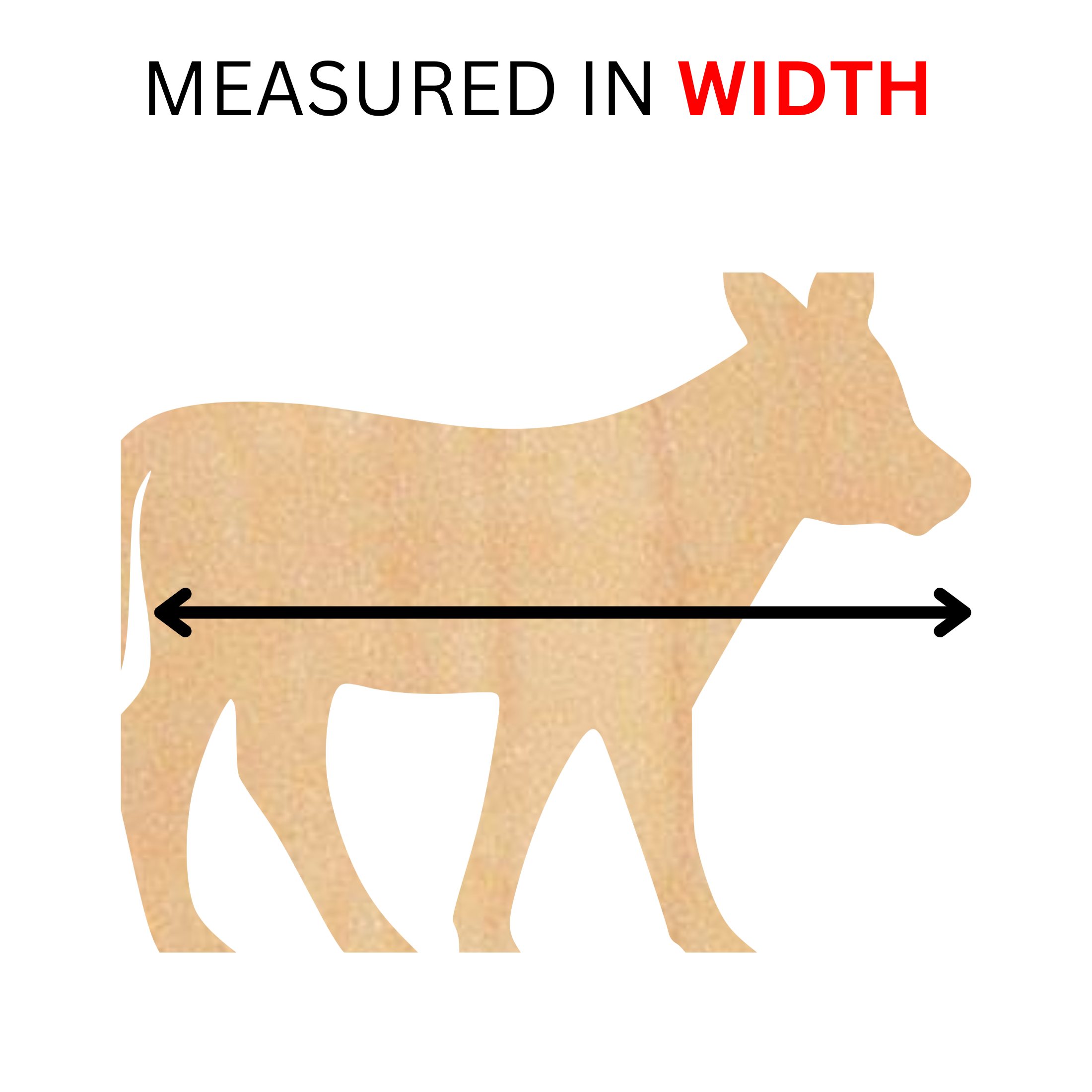 measured in width.png