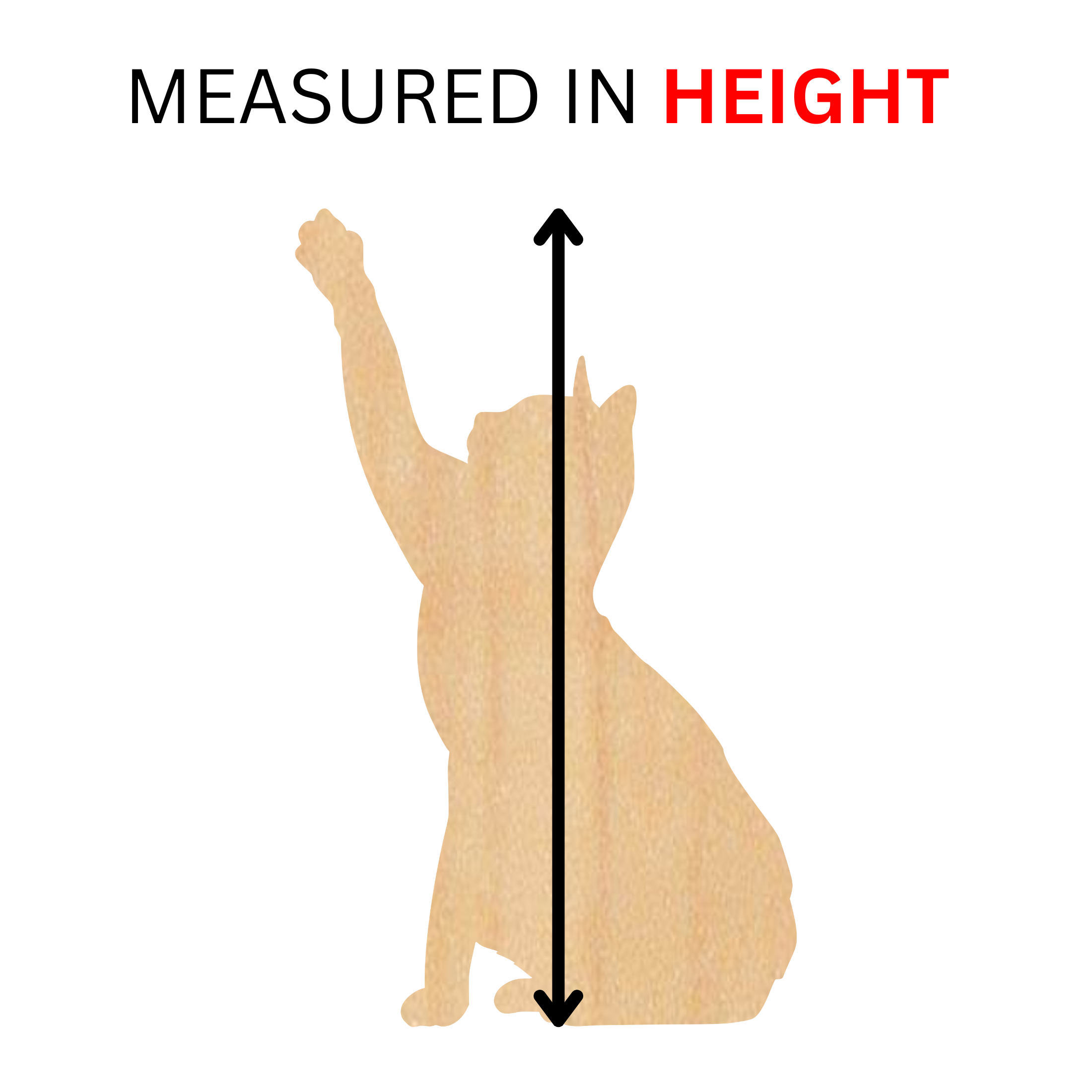 MEASURED IN HEIGHT.png