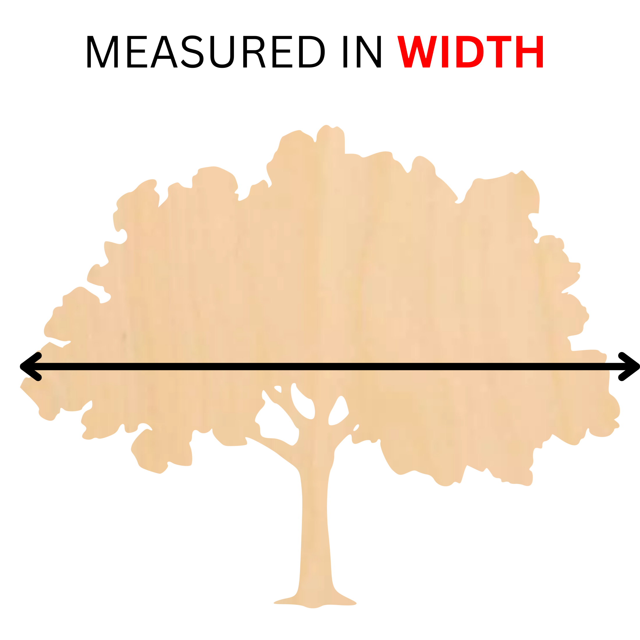 measured in width.png