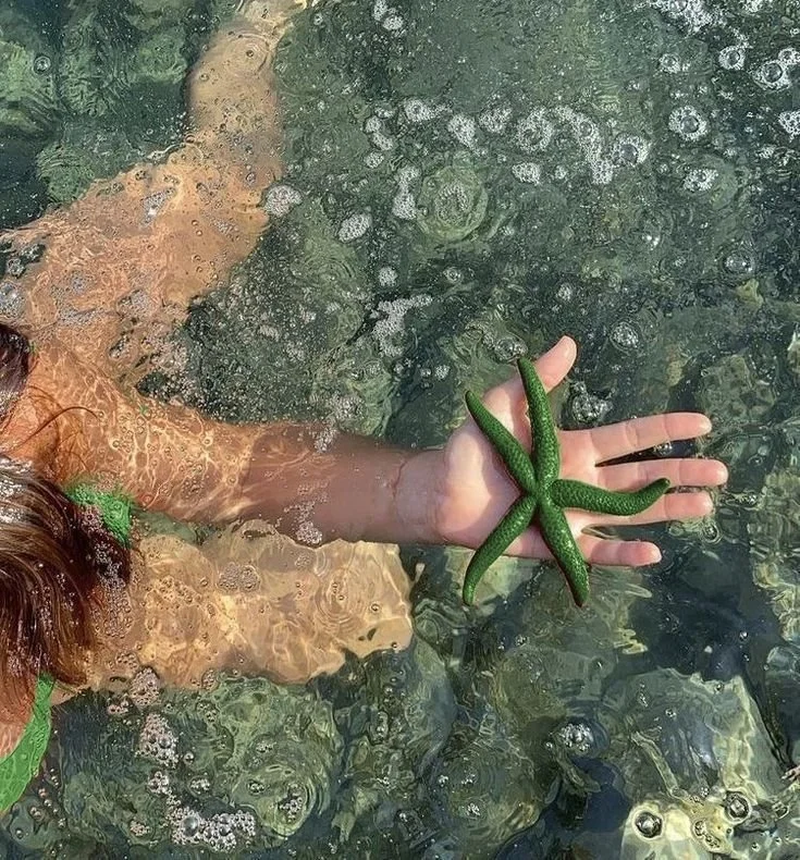 Creative, refreshing and a little unexpected - just how we like it.

#freshideas #creativeenergy #sundaestudio #marketingvibes #oceaninspo #brandmood