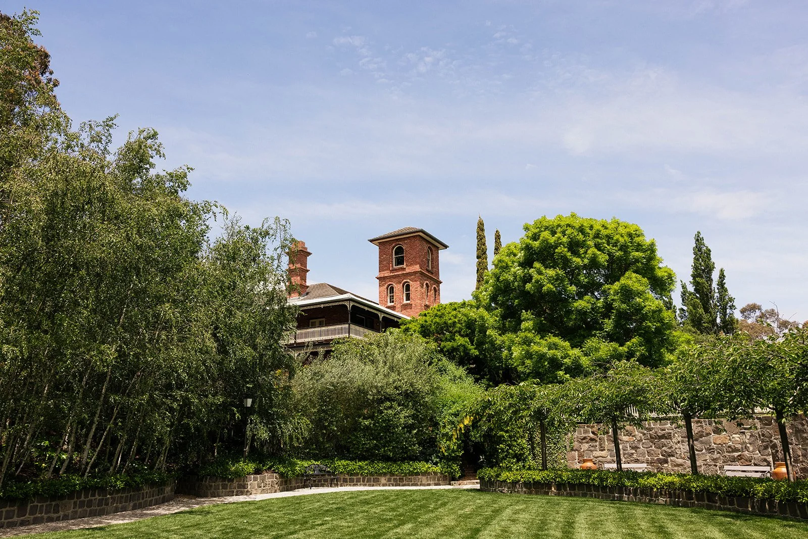 Alice & Chris - Sneak Peek - -17.jpg