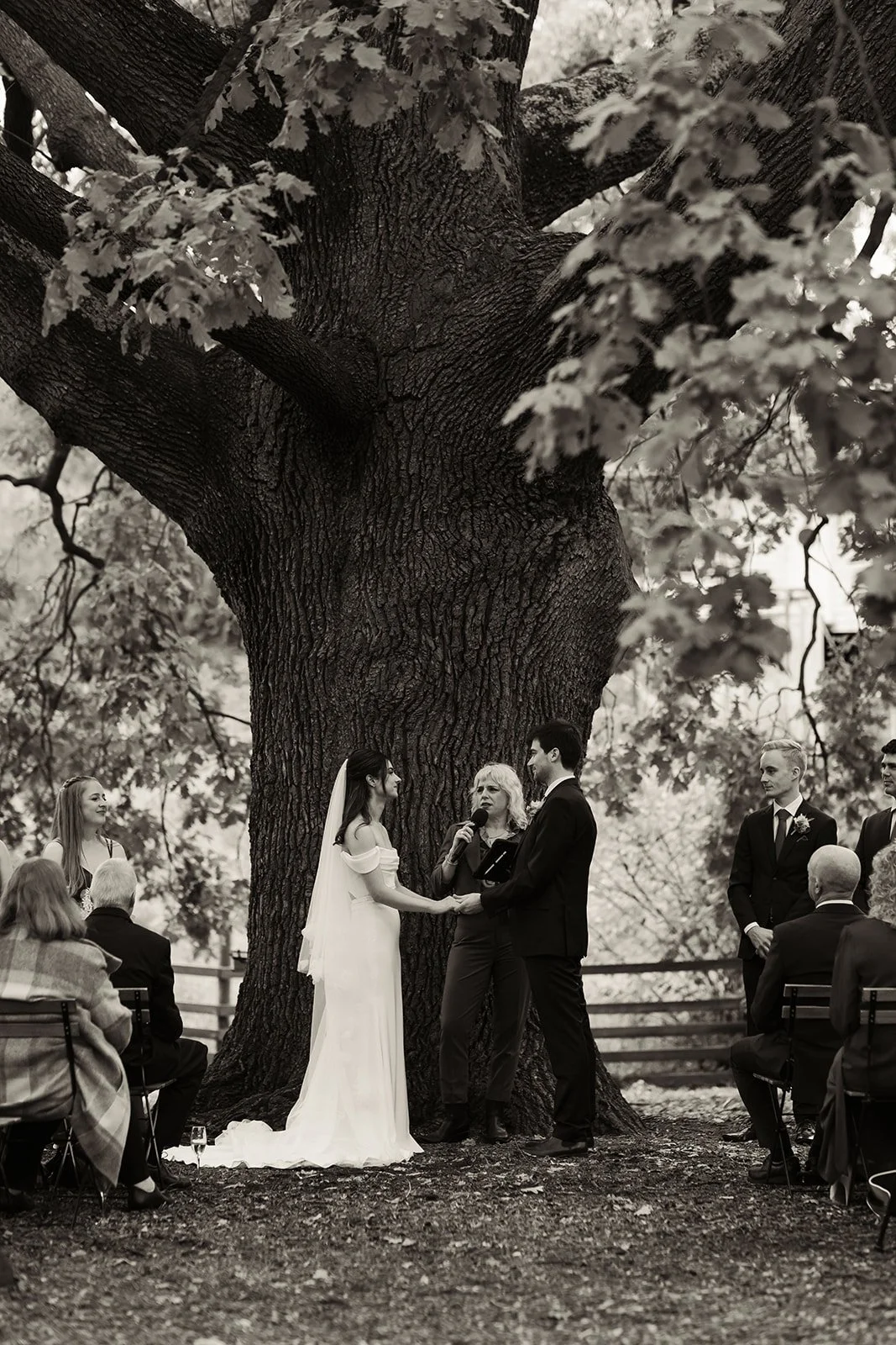 collingwood-childrens-farm