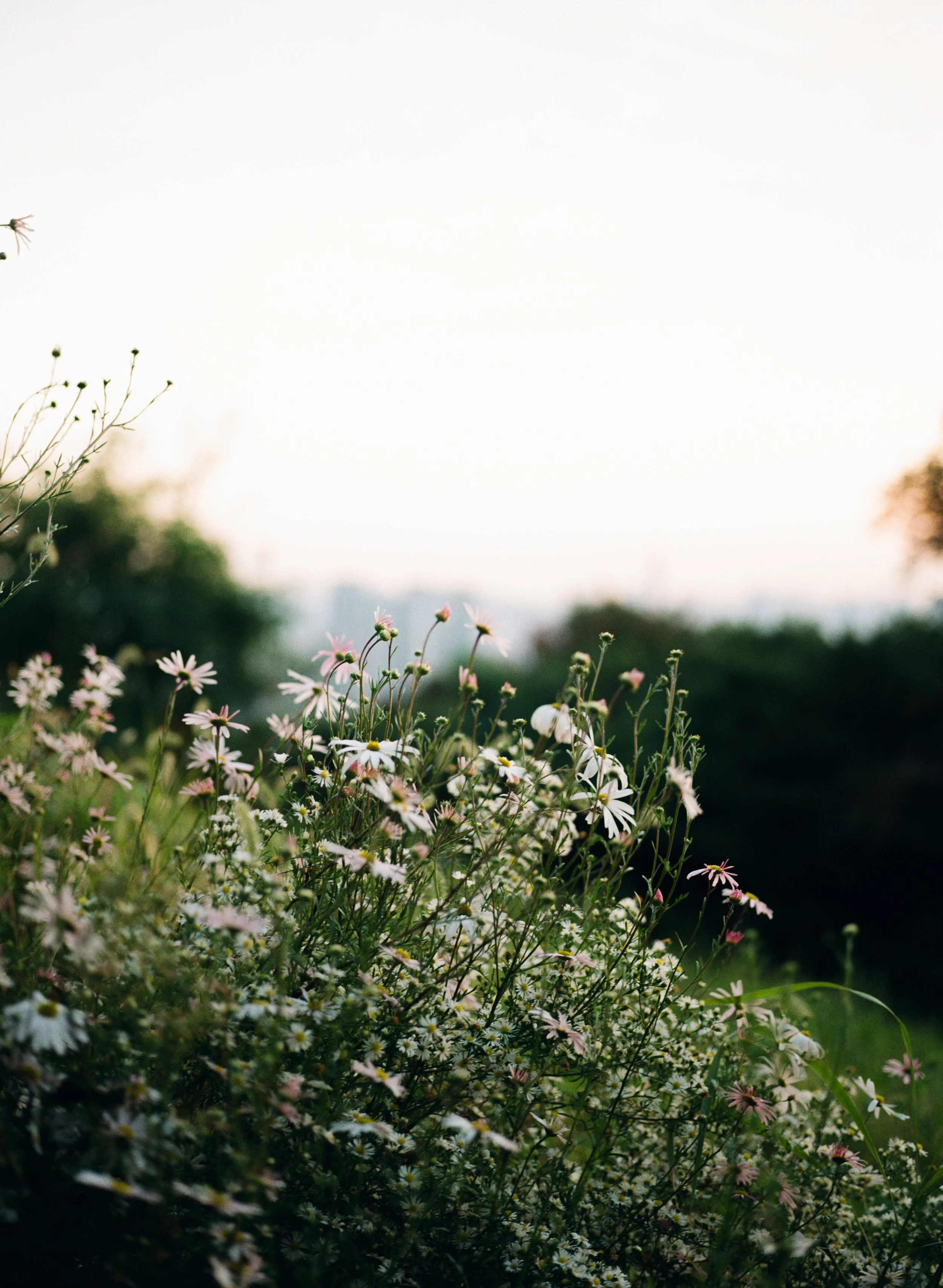 2022 Film Edits - -30.JPG