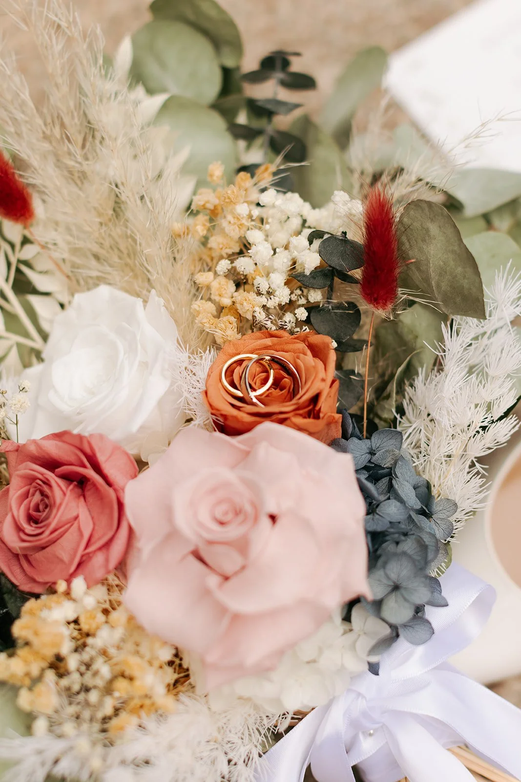 collingwood-childrens-farm