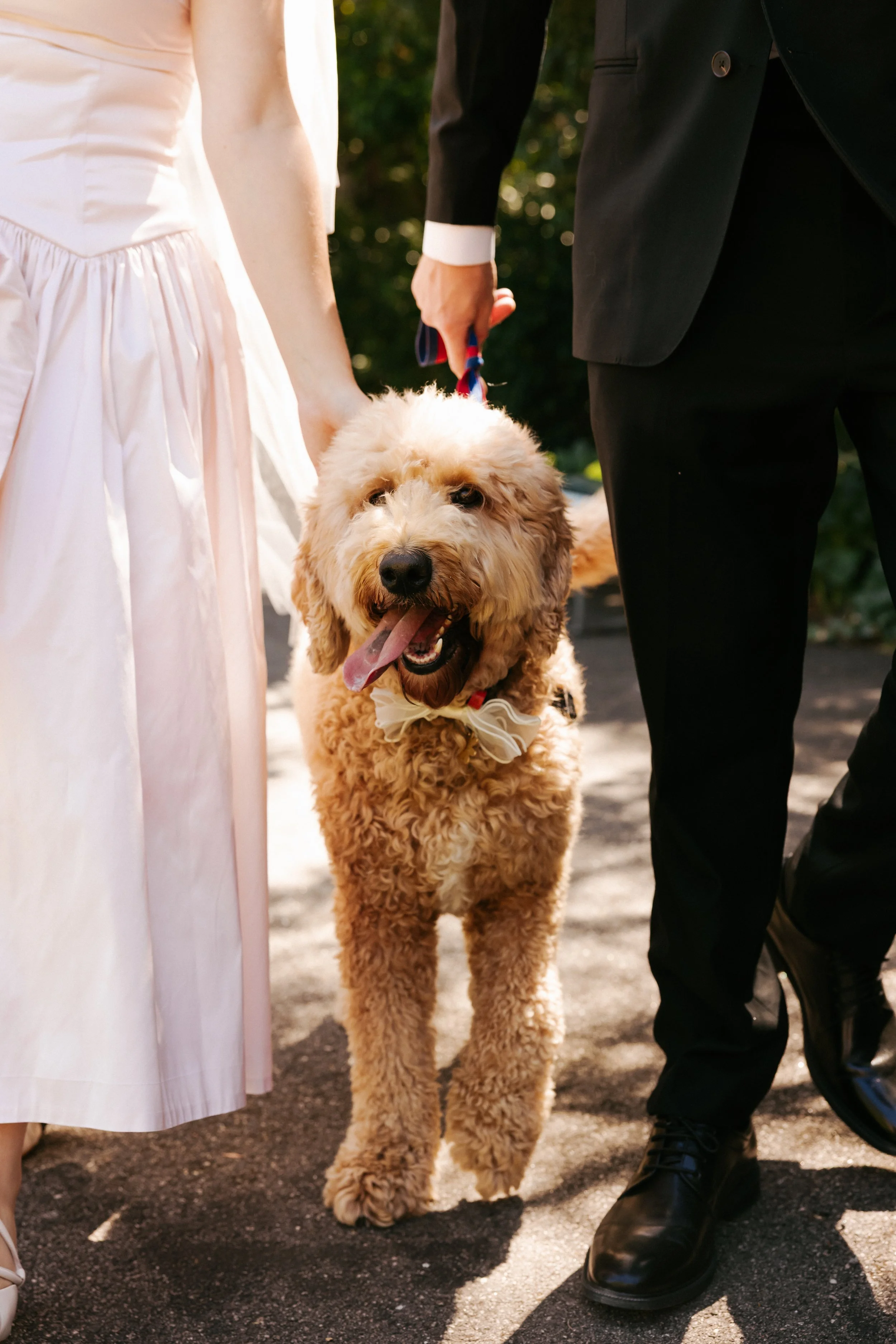 Charlotte & Merrick -_-239.JPG