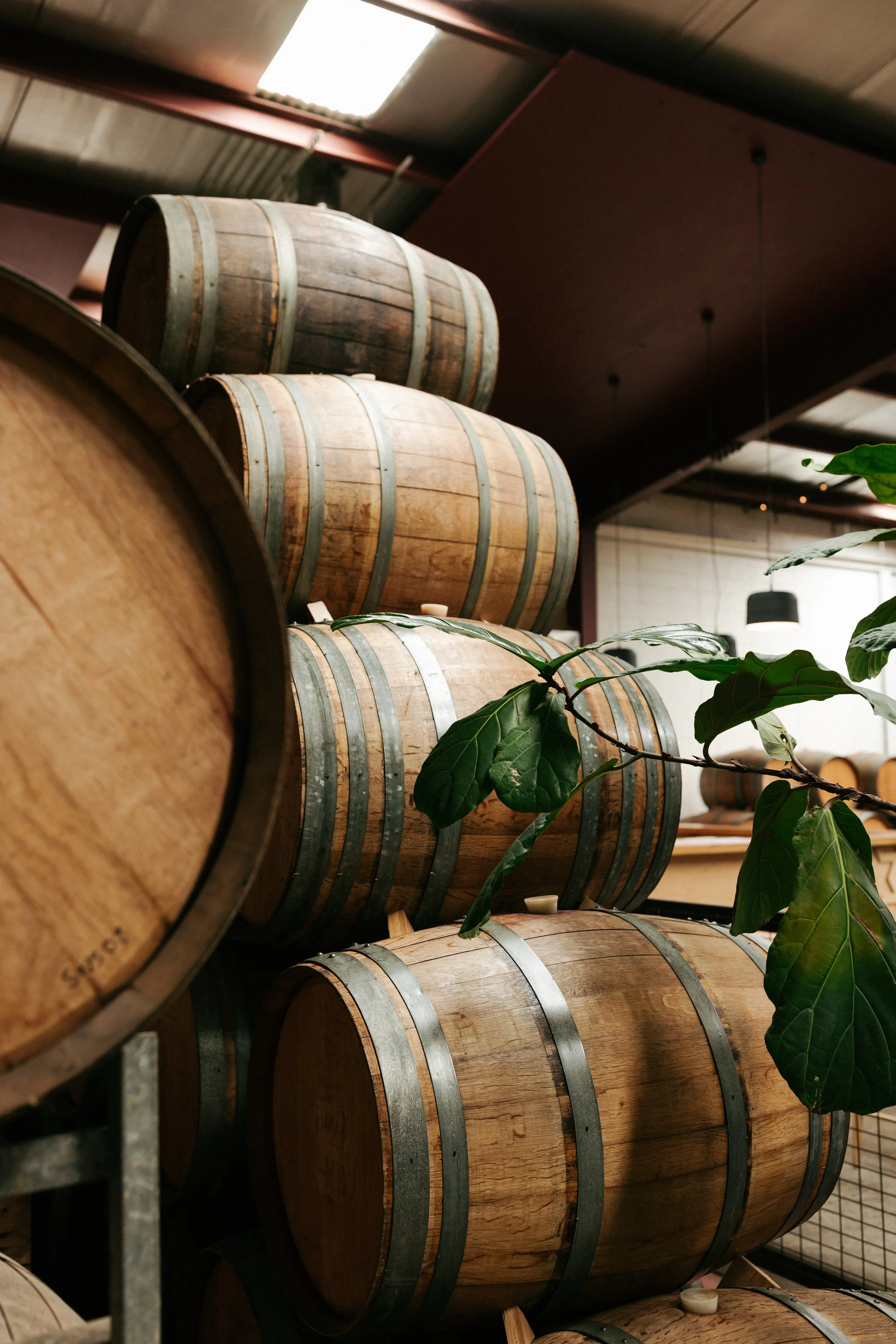 Gitana & Michael -_-438.JPG