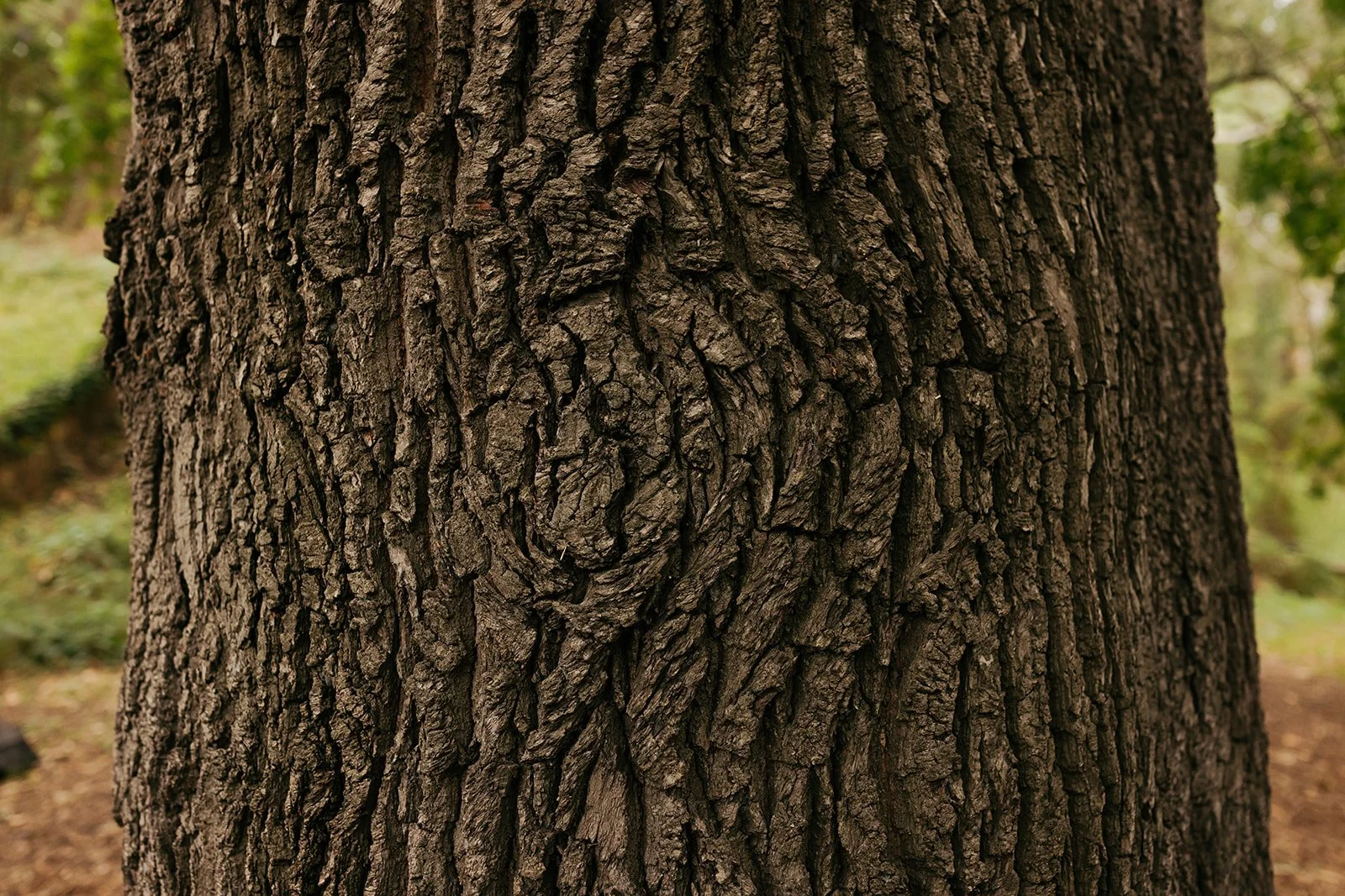 collingwood-childrens-farm