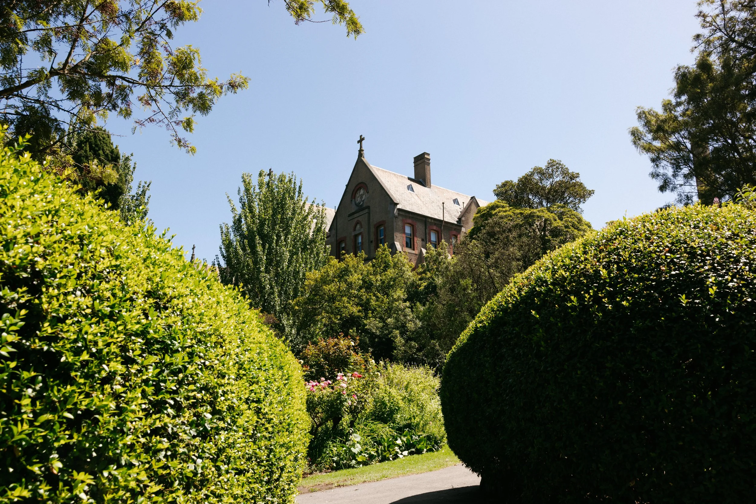 Charlotte & Merrick -_-30.JPG