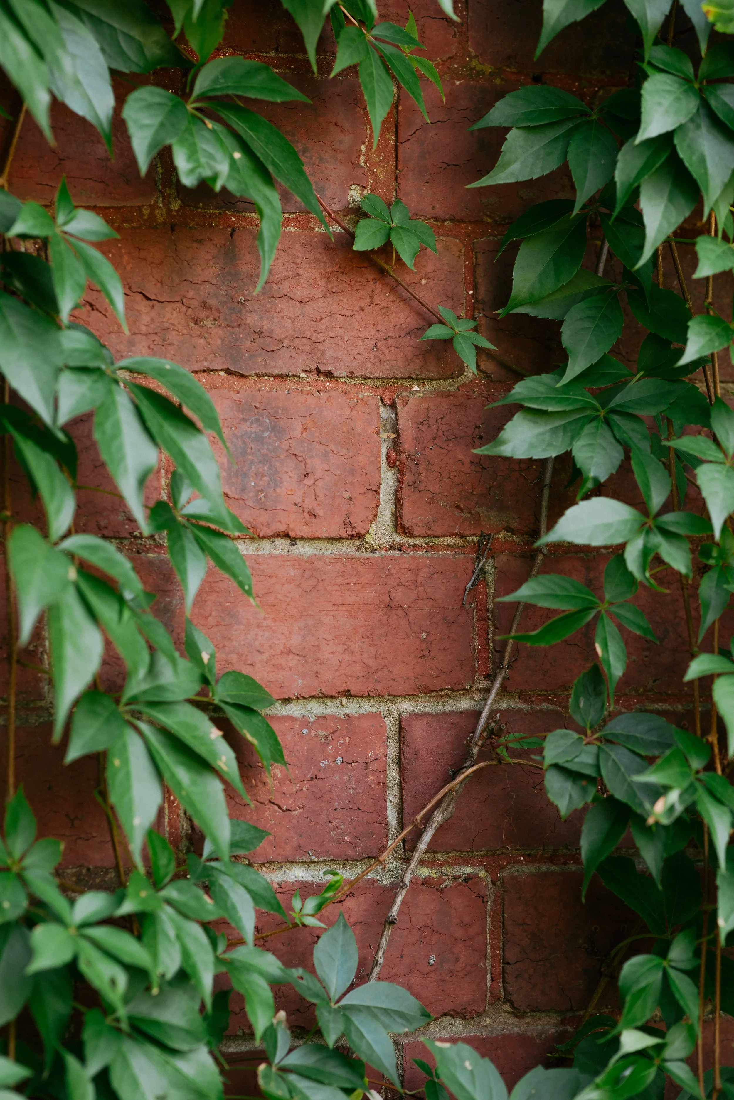 Charlotte & Merrick -_-13.JPG