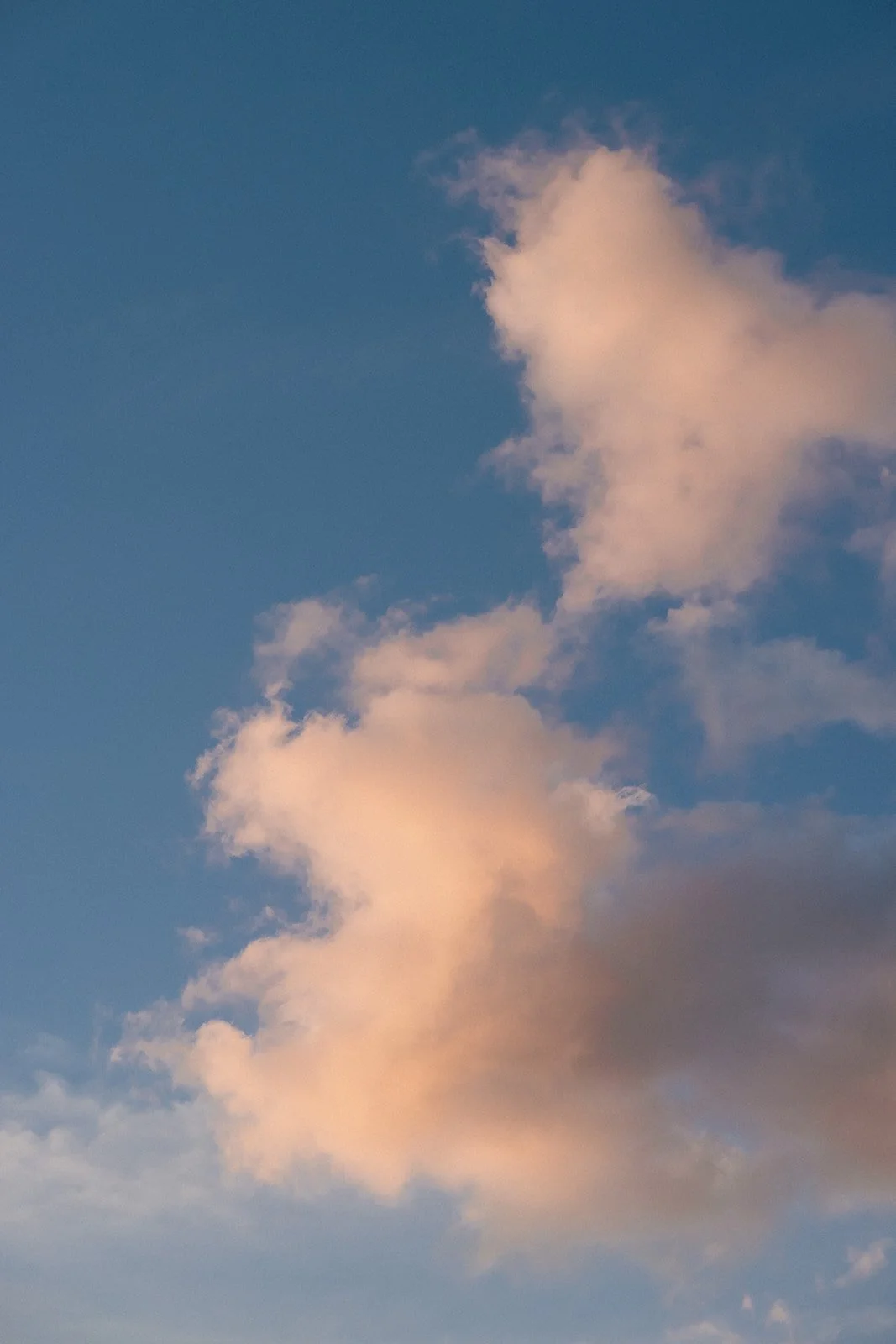 Pavi & Harry - Sneak Peek - -49.jpg