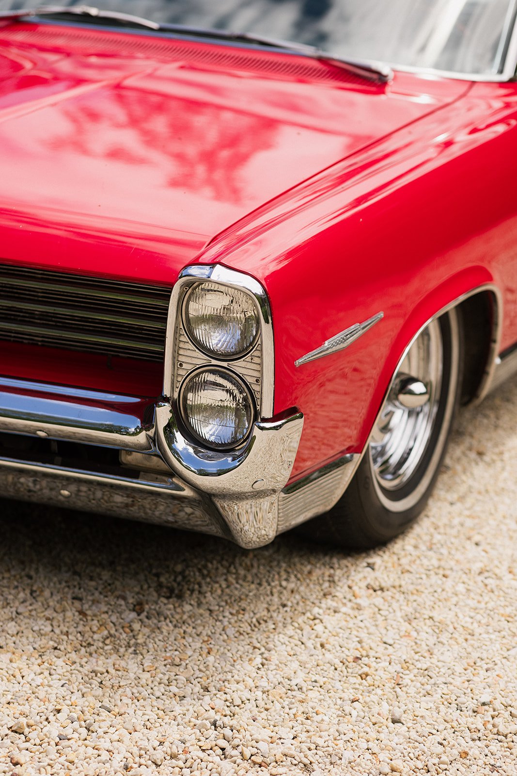 Kelly & Lorcan - Sneak Peek-3.jpg