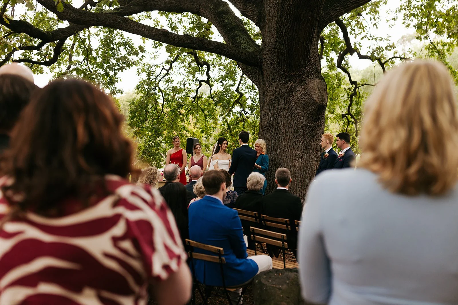 collingwood-childrens-farm