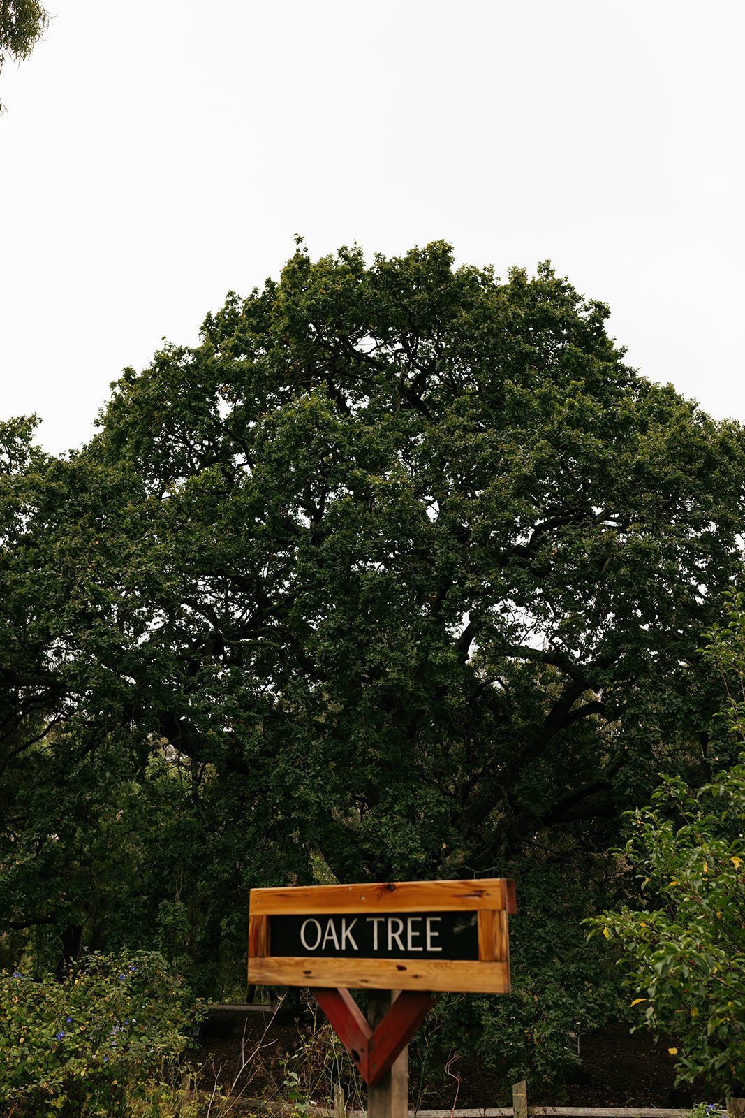 collingwood-childrens-farm