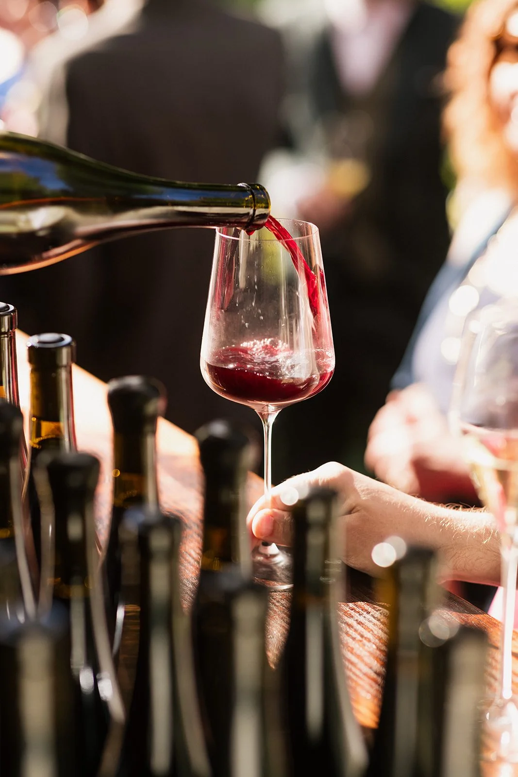 casa-allegra-piper-street-wine-company