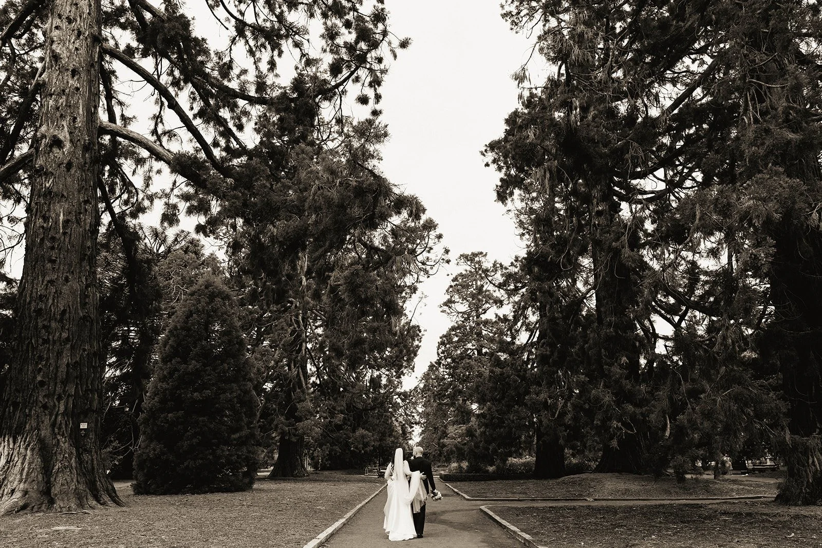 Alice & Chris - Sneak Peek - -58.jpg