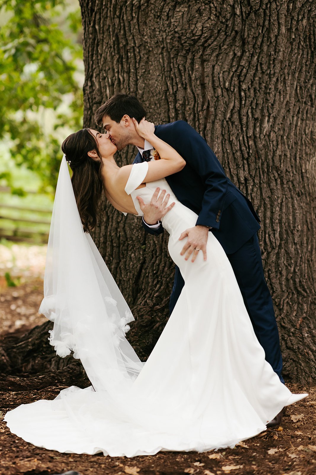 collingwood-childrens-farm