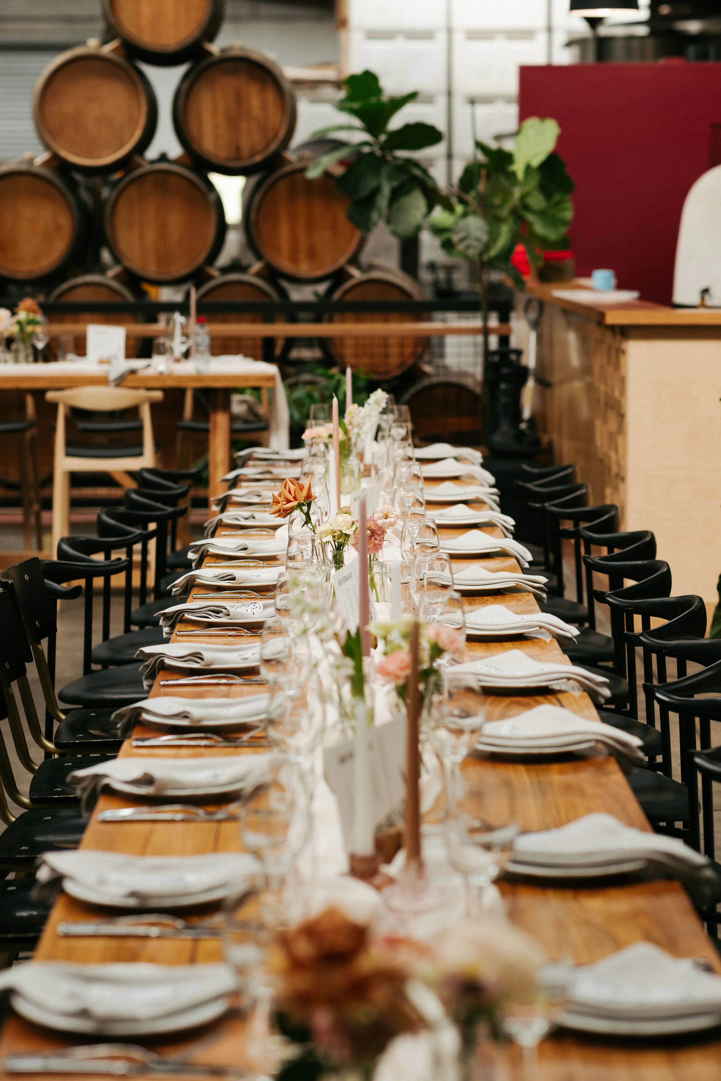 Gitana & Michael -_-453.JPG