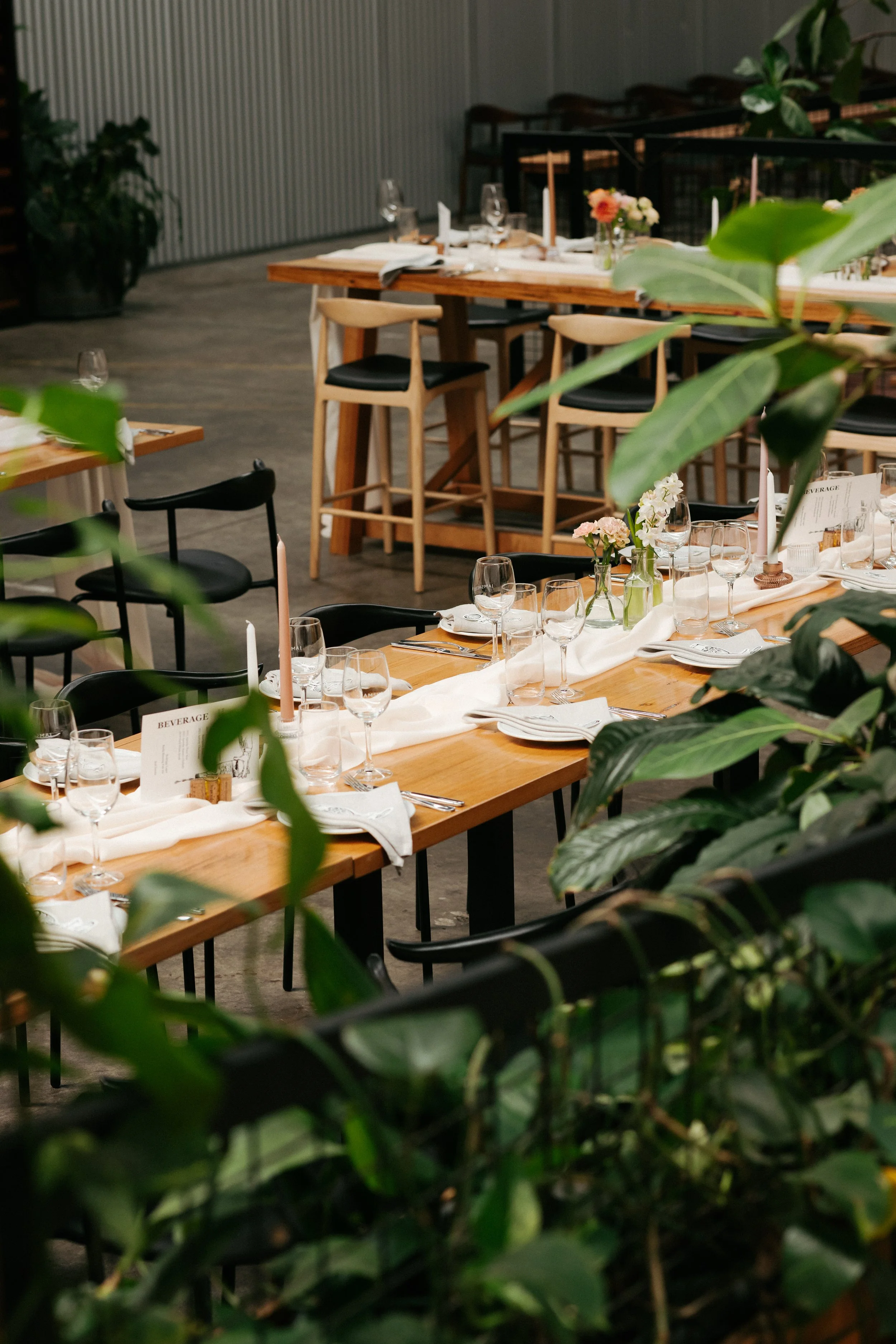 Gitana & Michael -_-439.JPG