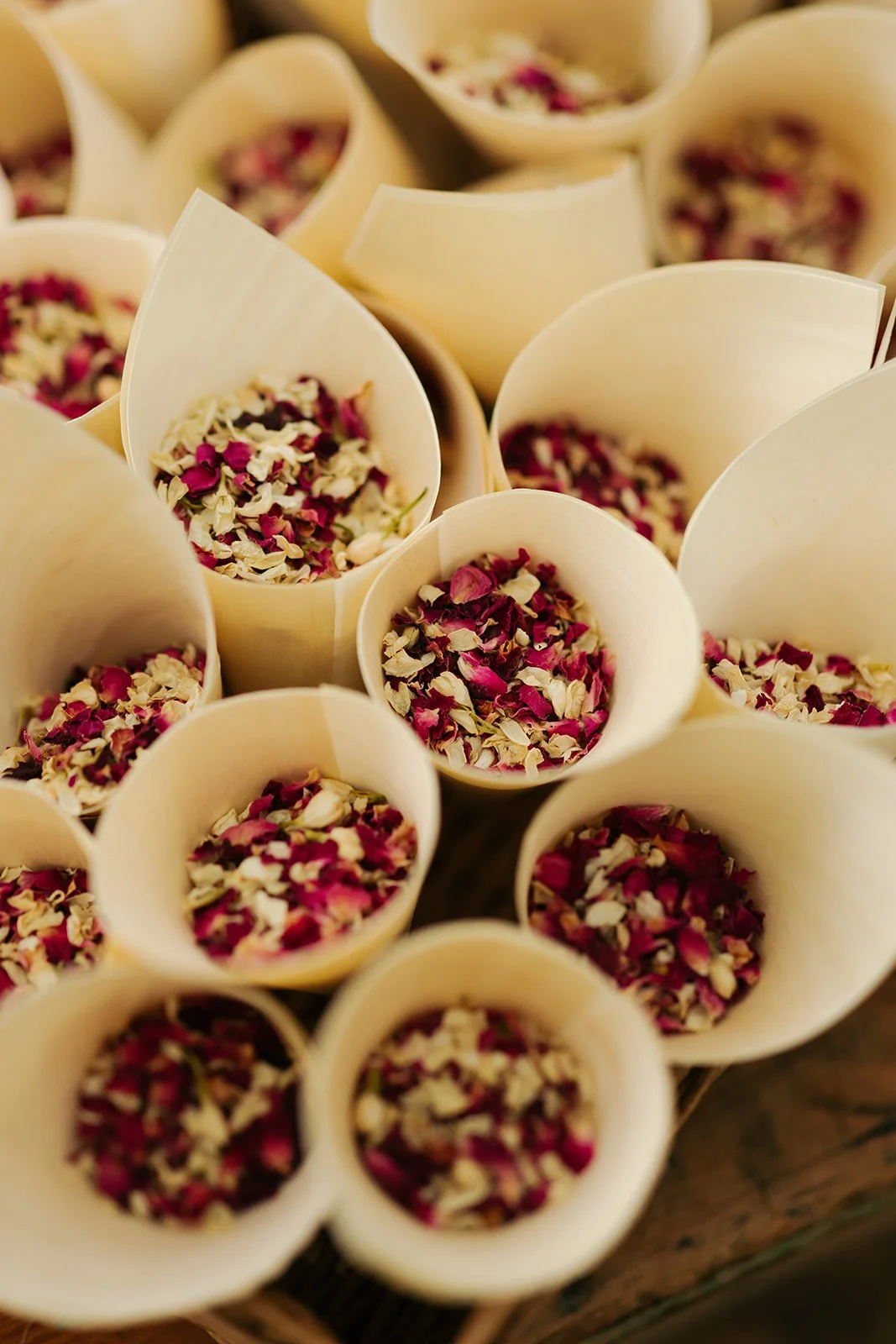 collingwood-childrens-farm