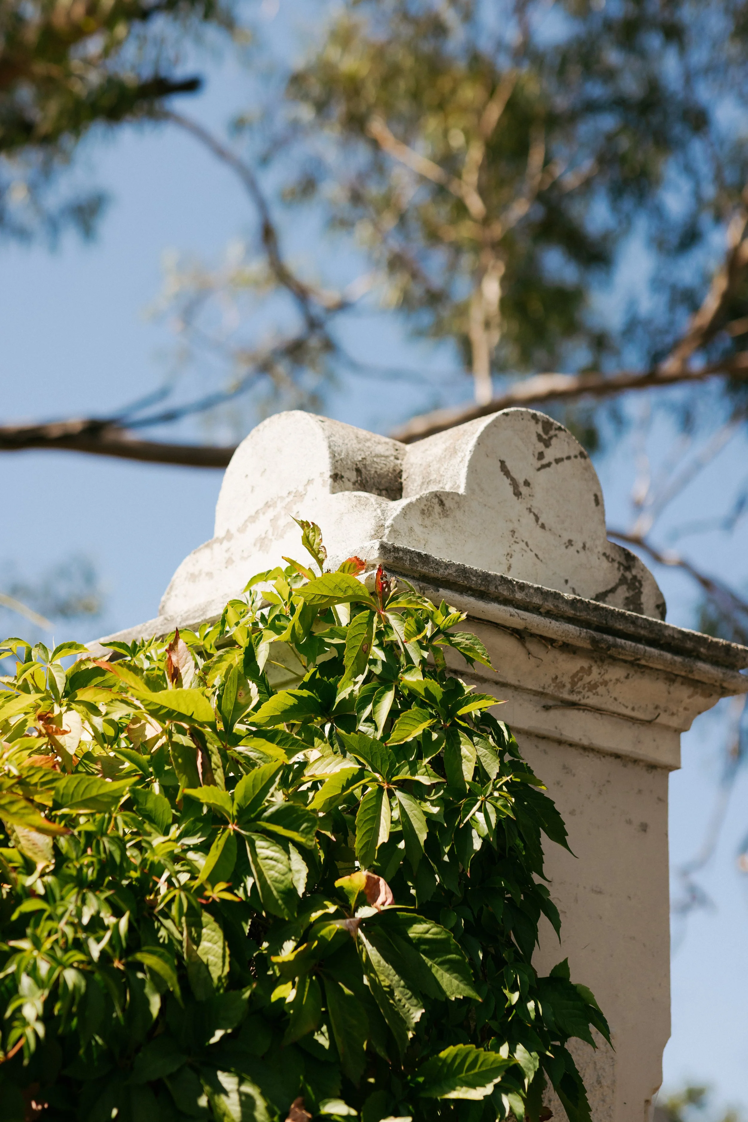 Charlotte & Merrick -_-2.JPG