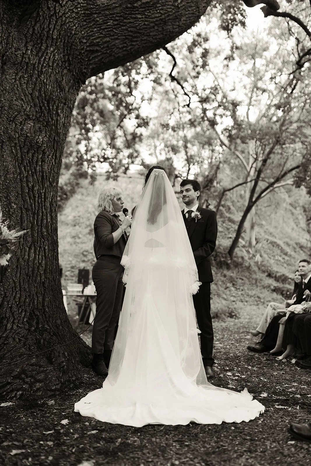 collingwood-childrens-farm