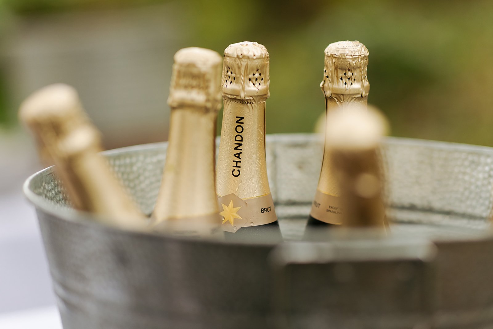 collingwood-childrens-farm