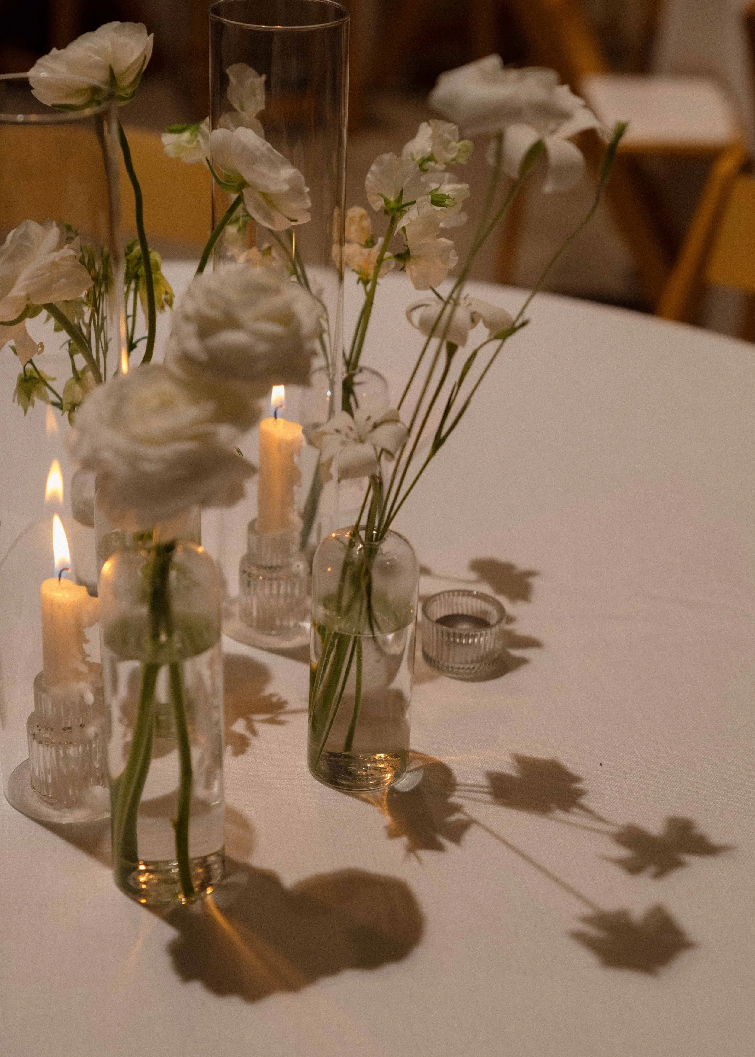 IMG_2408_Original 2.jpg