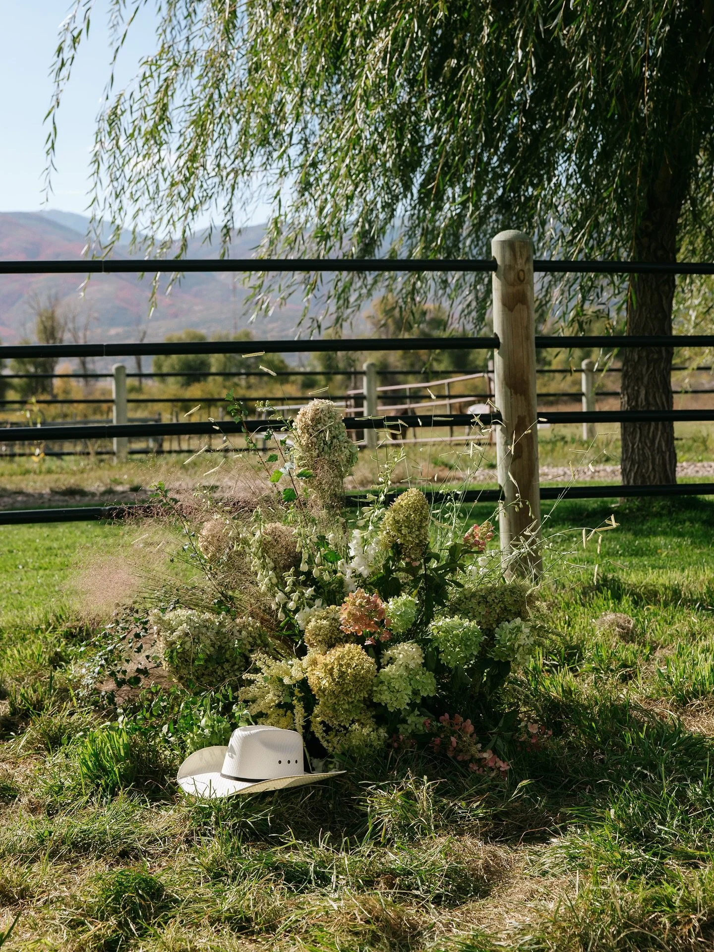 D &amp; P&rsquo;s Ranch wedding from last September captured by @emilyandluke_