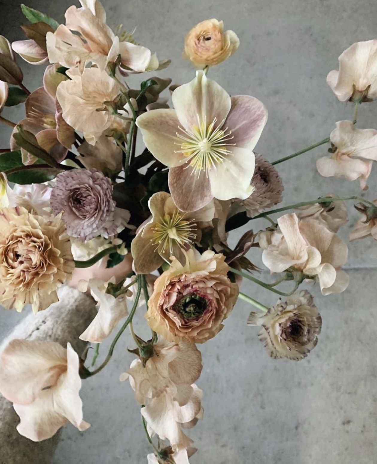 Screenshot 2026-02-01 at 8.44.53 PM.png