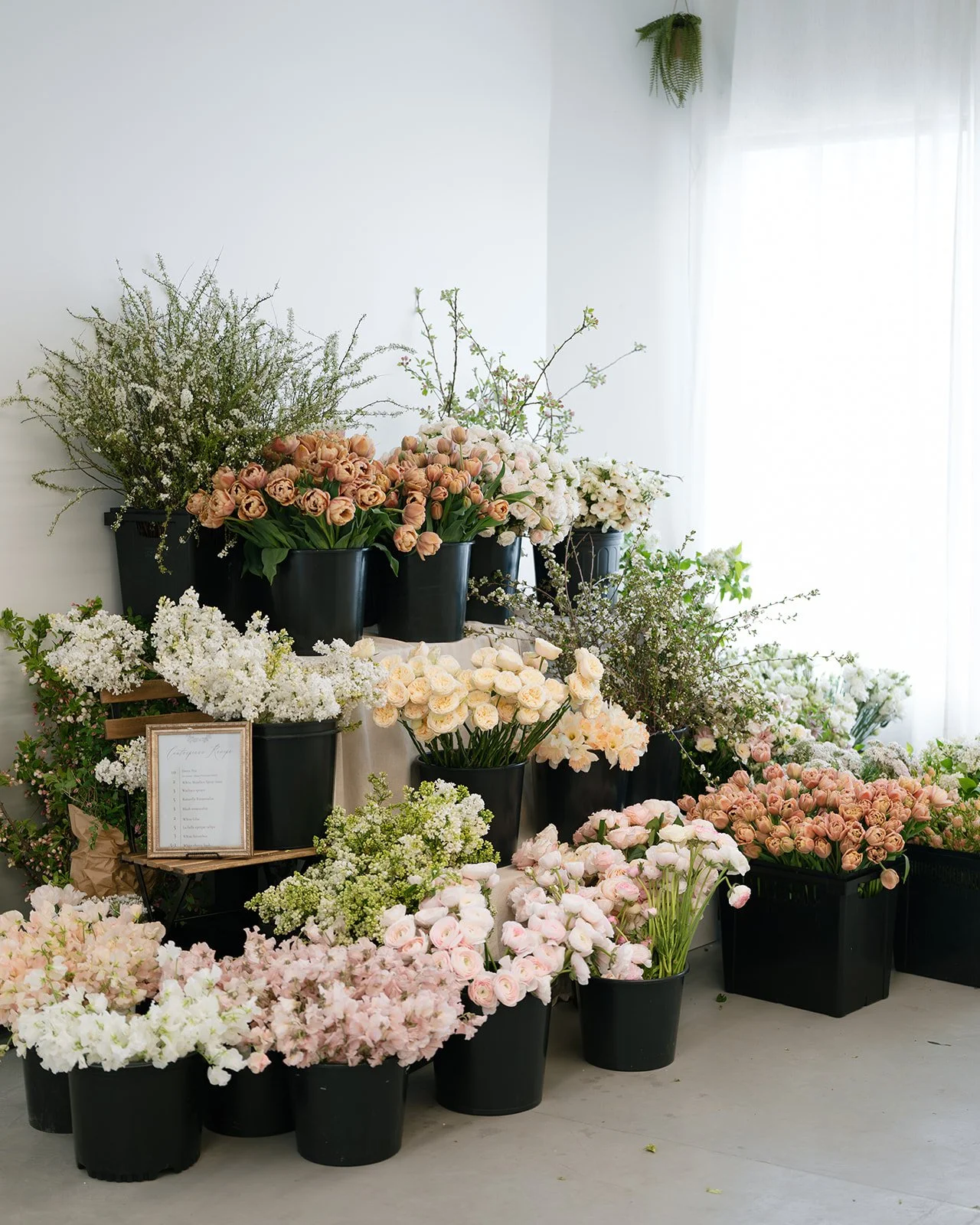 Day One Instruction-2.jpg